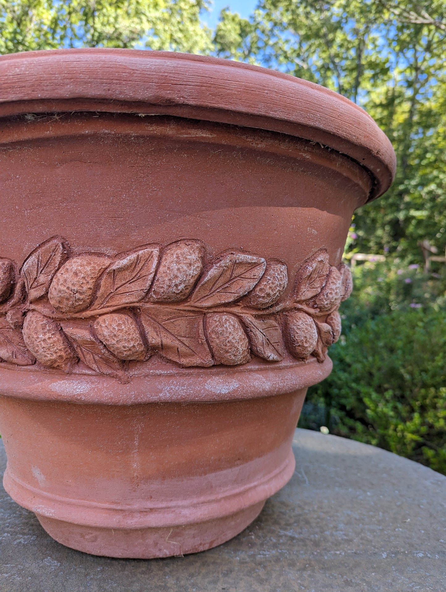 Italian "Limone" Terracotta Pot (50cm)