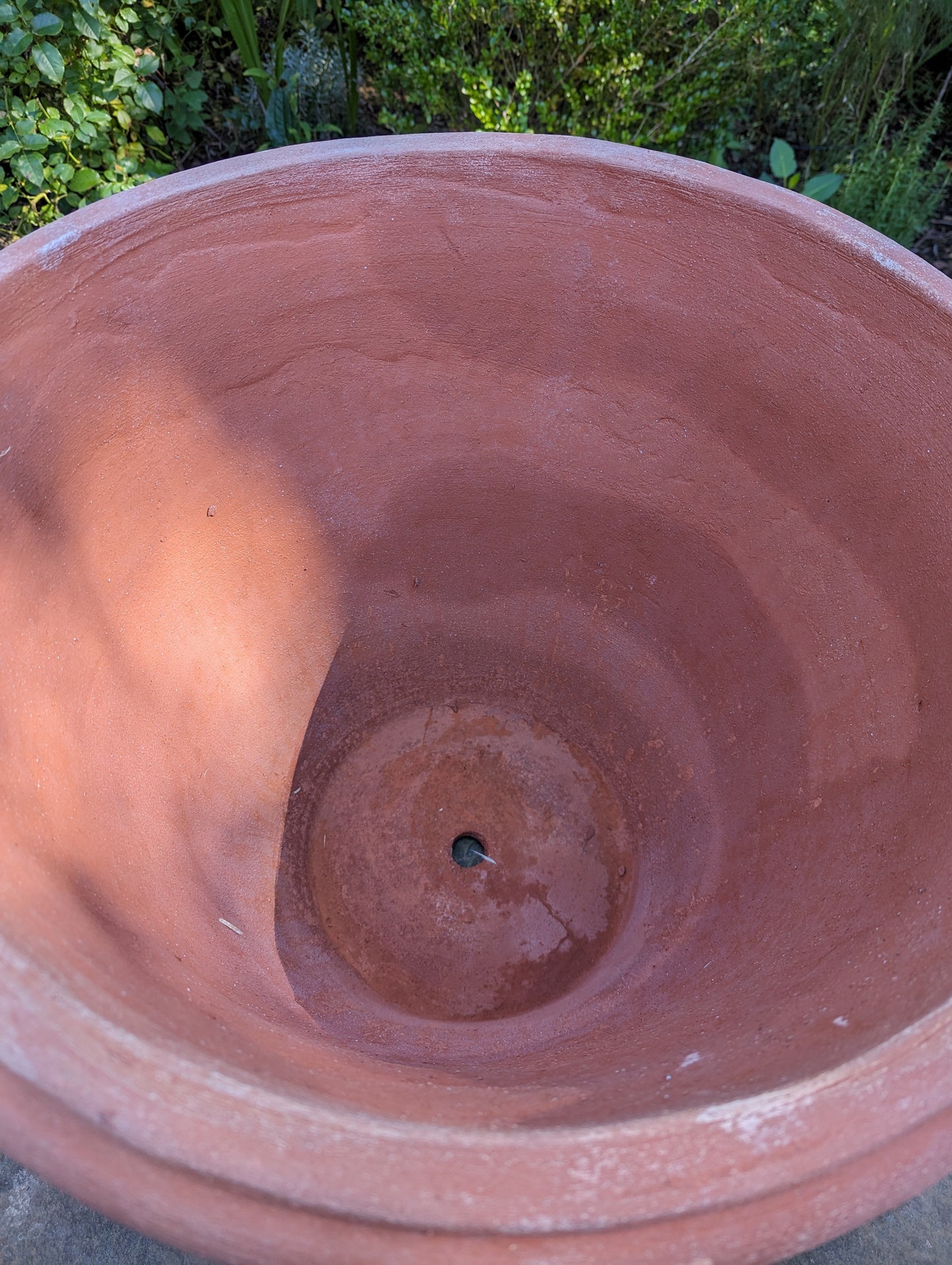 Italian "Limone" Terracotta Pot (50cm)