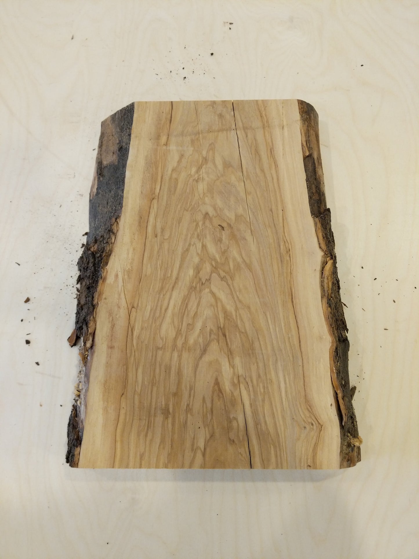 Italian Olive Wood Live Edge Mini Slab