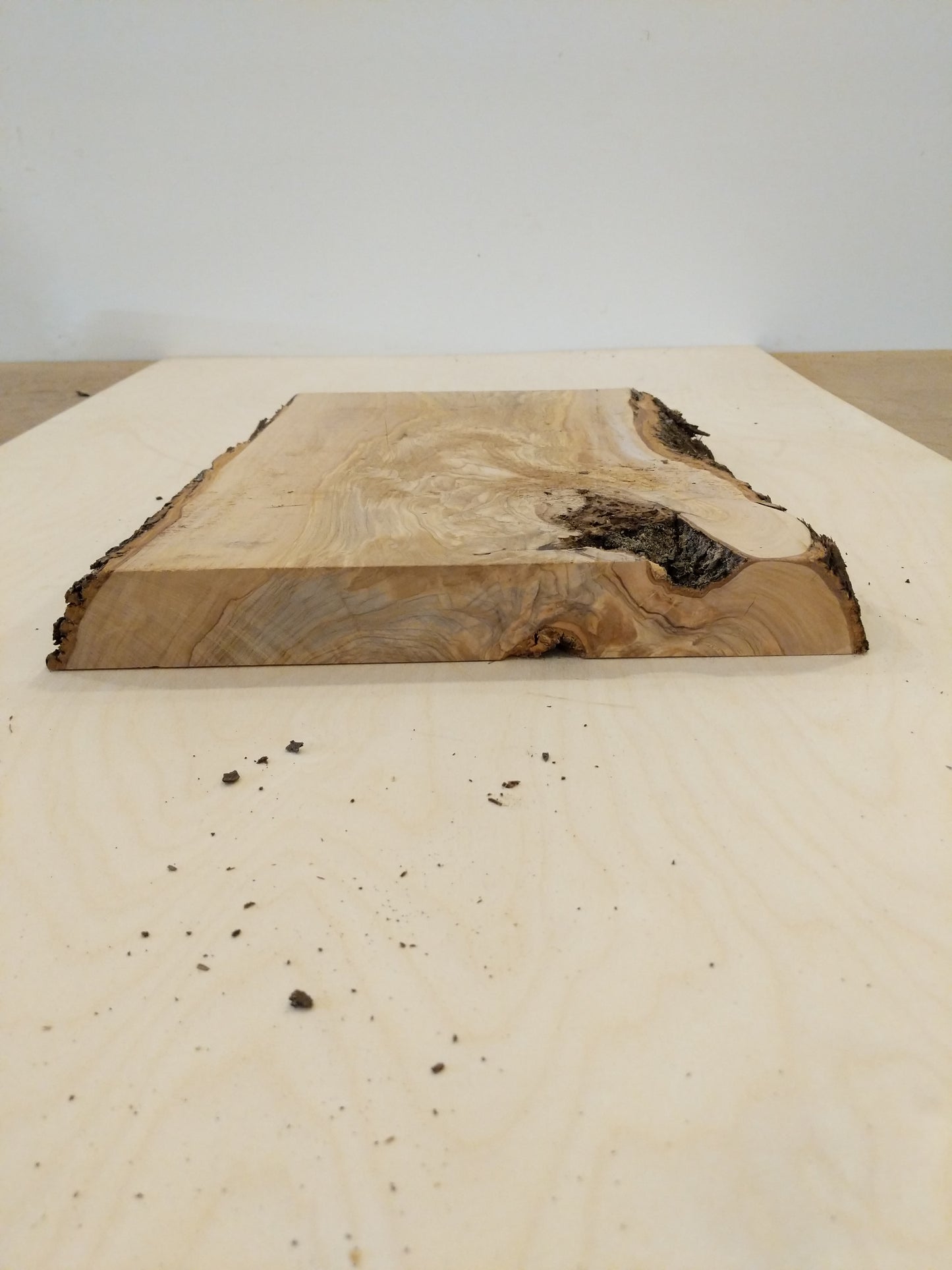 Italian Olive Wood Live Edge Mini Slab