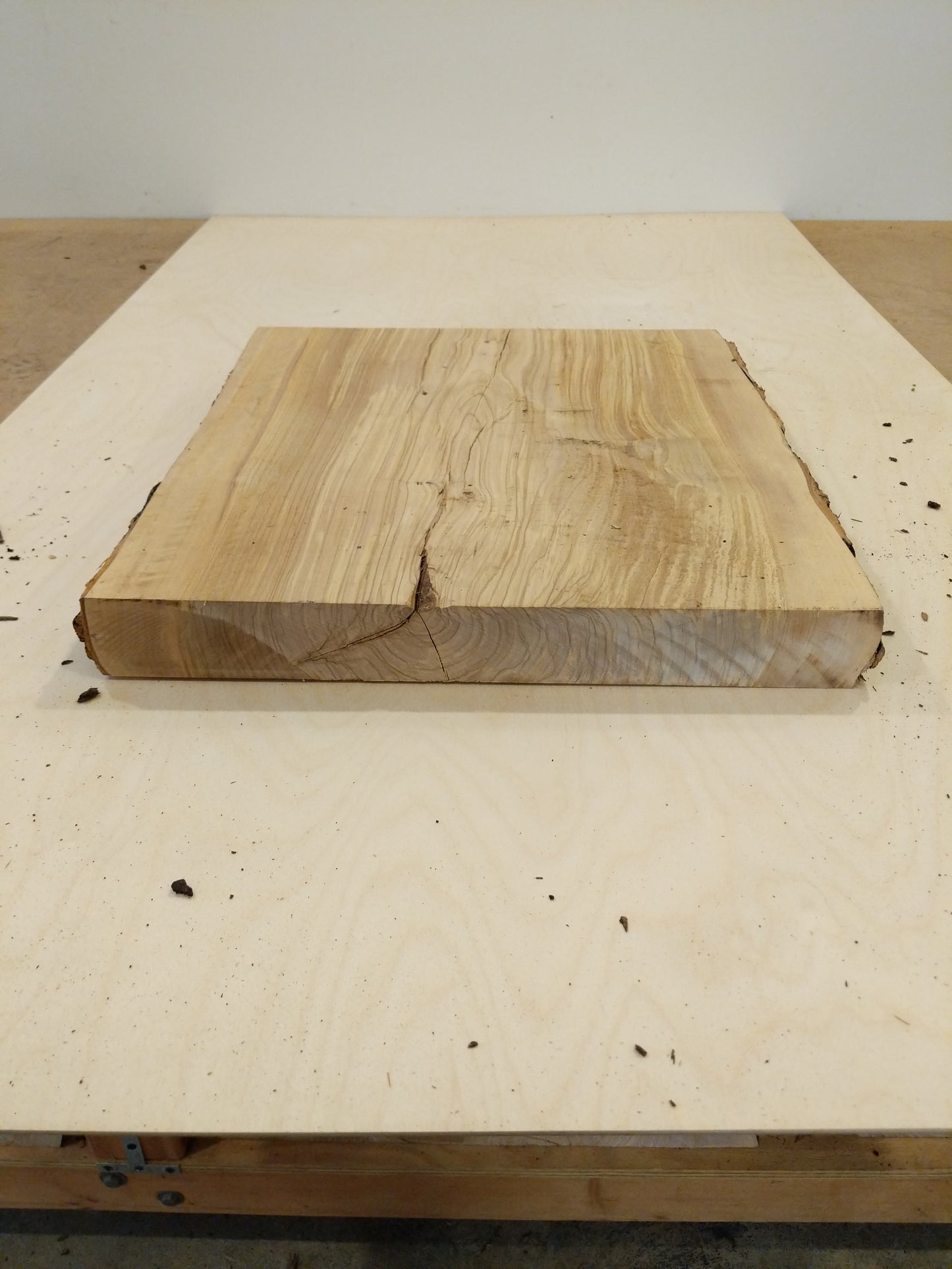 Italian Olive Wood Live Edge Mini Slab