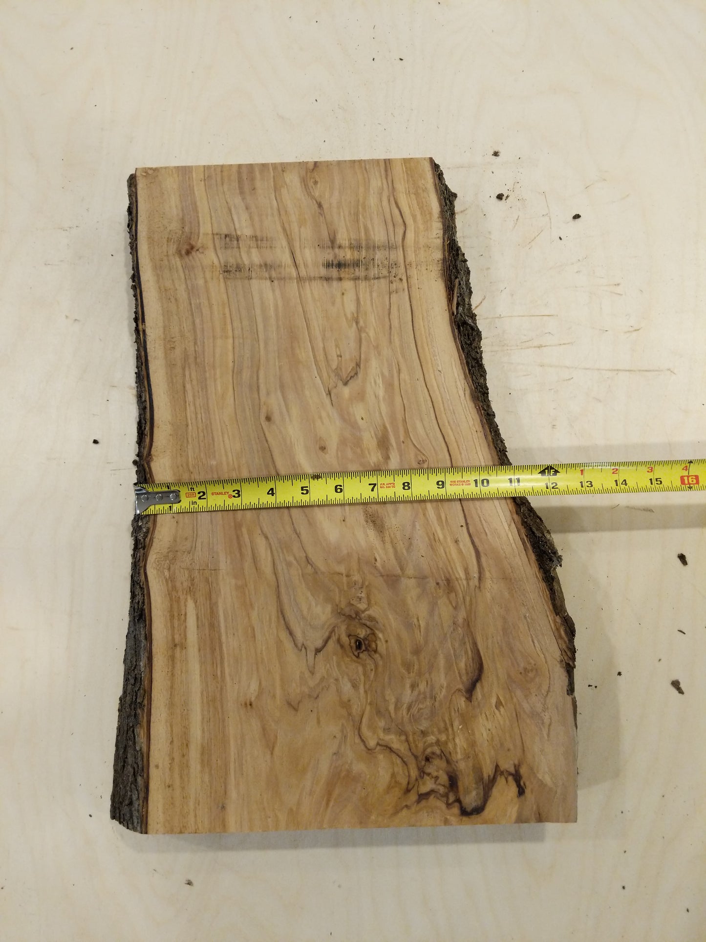 Italian Olive Wood Live Edge Mini Slab
