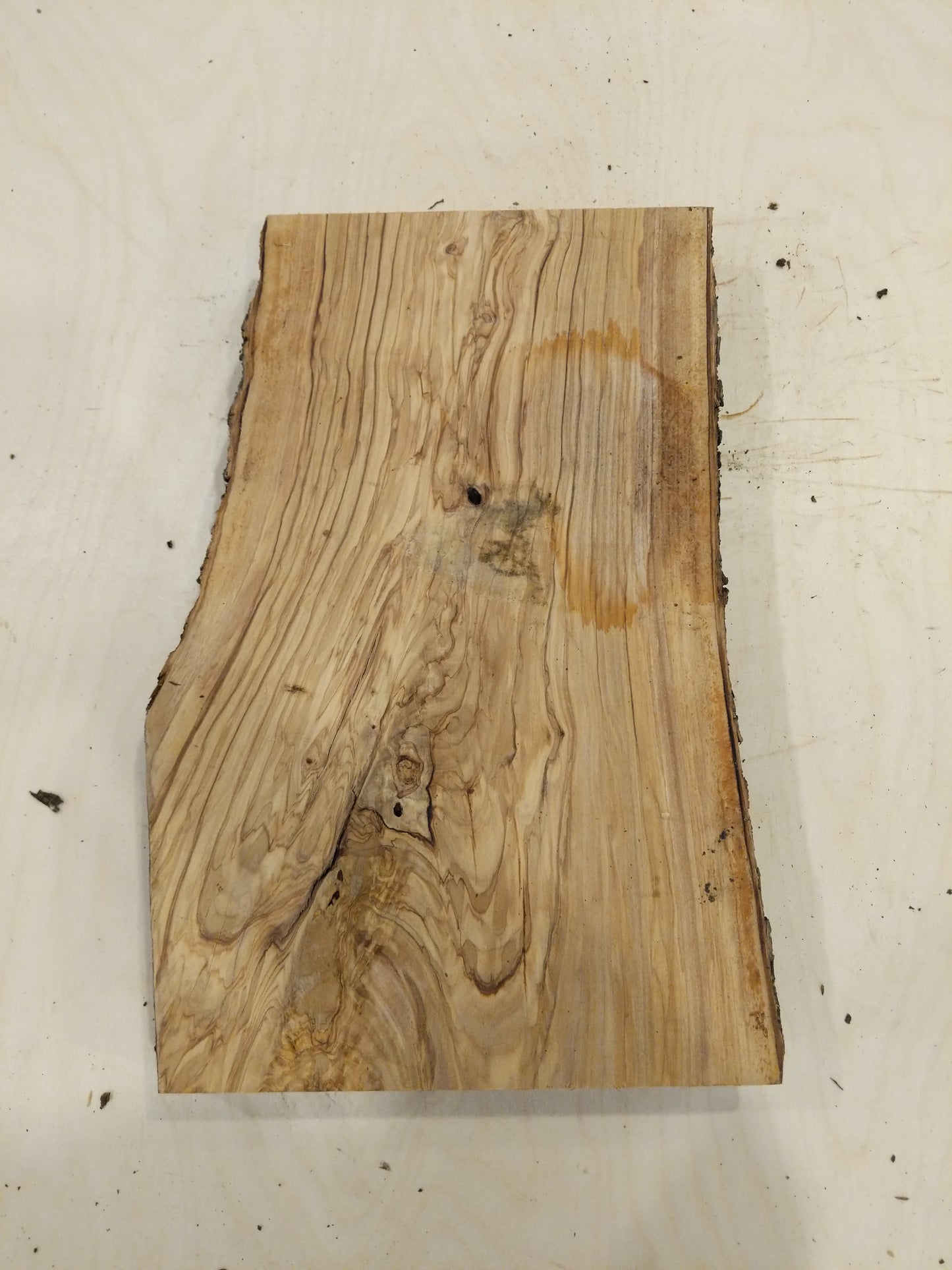 Italian Olive Wood Live Edge Mini Slab