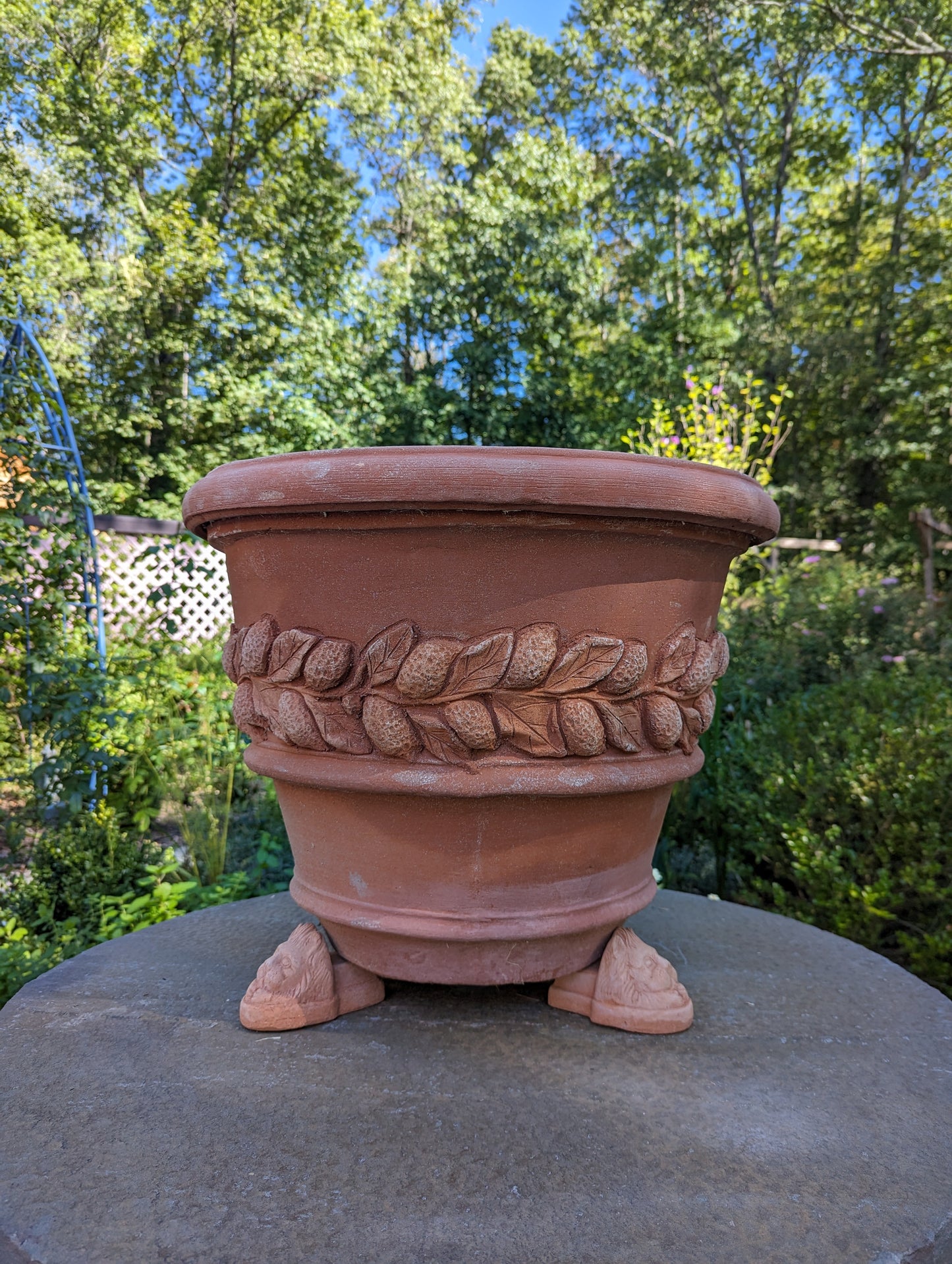 Italian "Limone" Terracotta Pot (50cm)