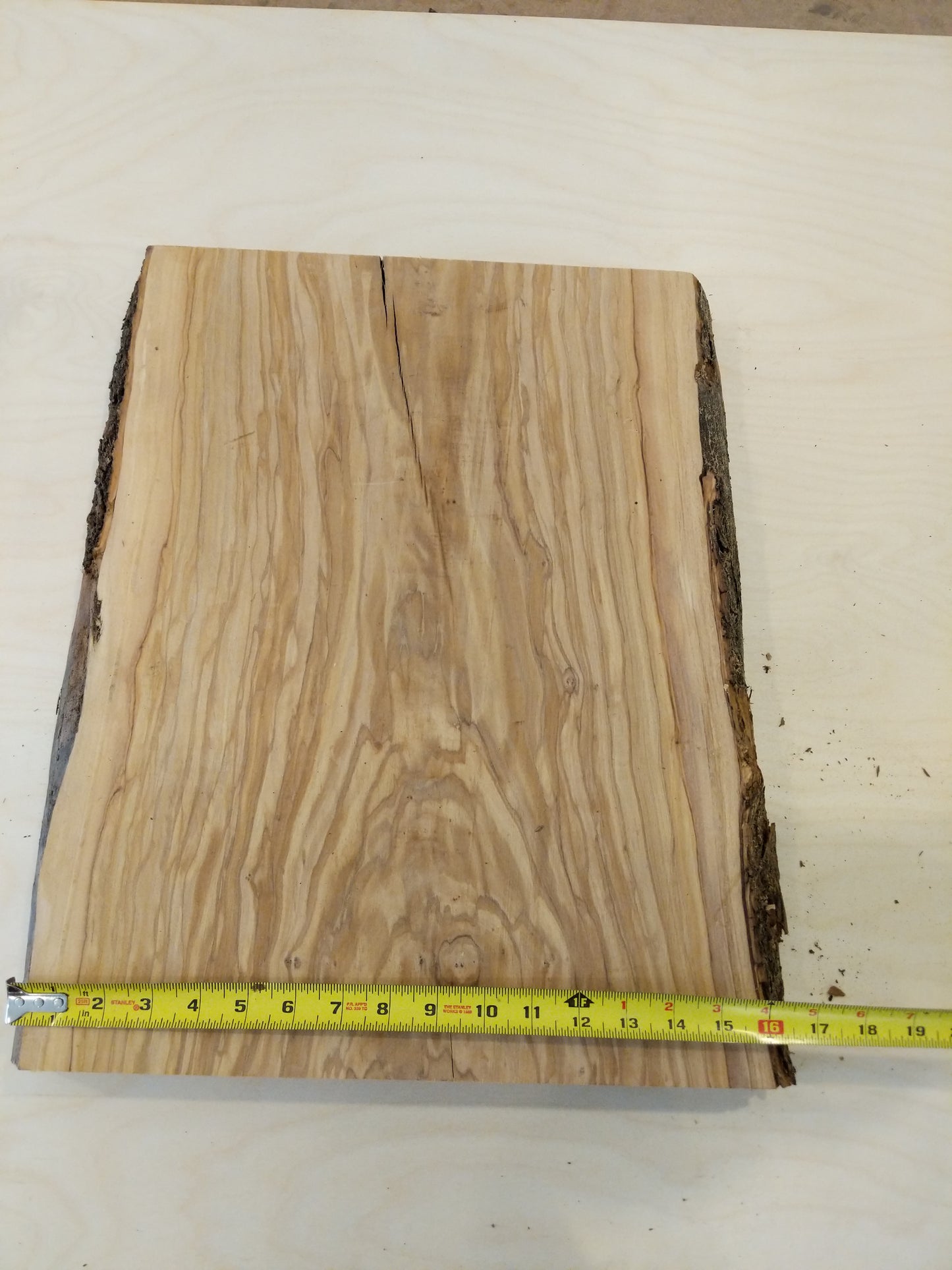 Italian Olive Wood Live Edge Mini Slab
