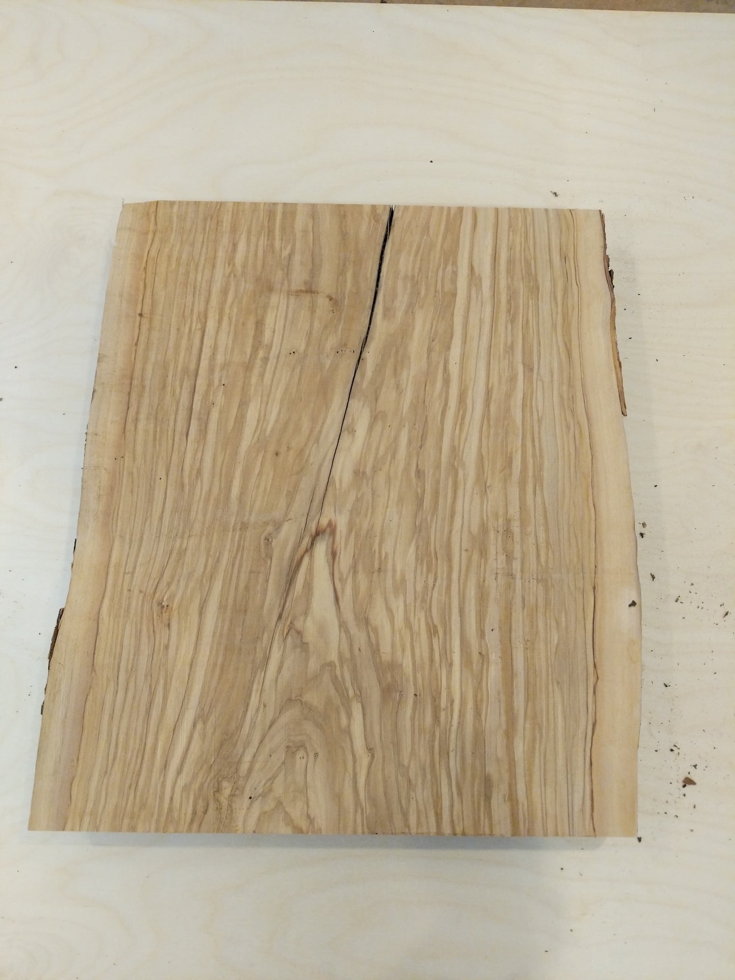 Italian Olive Wood Live Edge Mini Slab