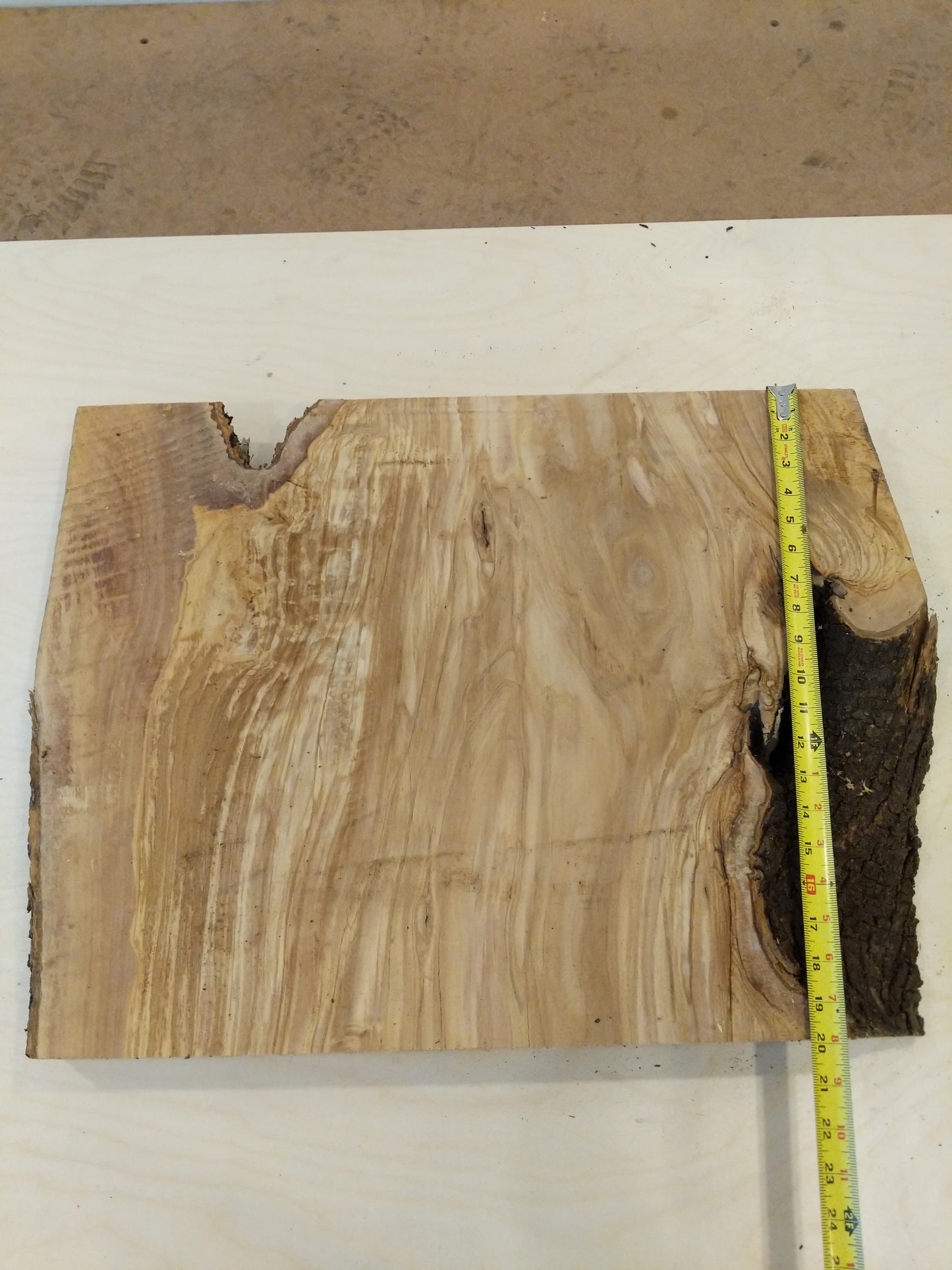 Italian Olive Wood Live Edge Mini Slab