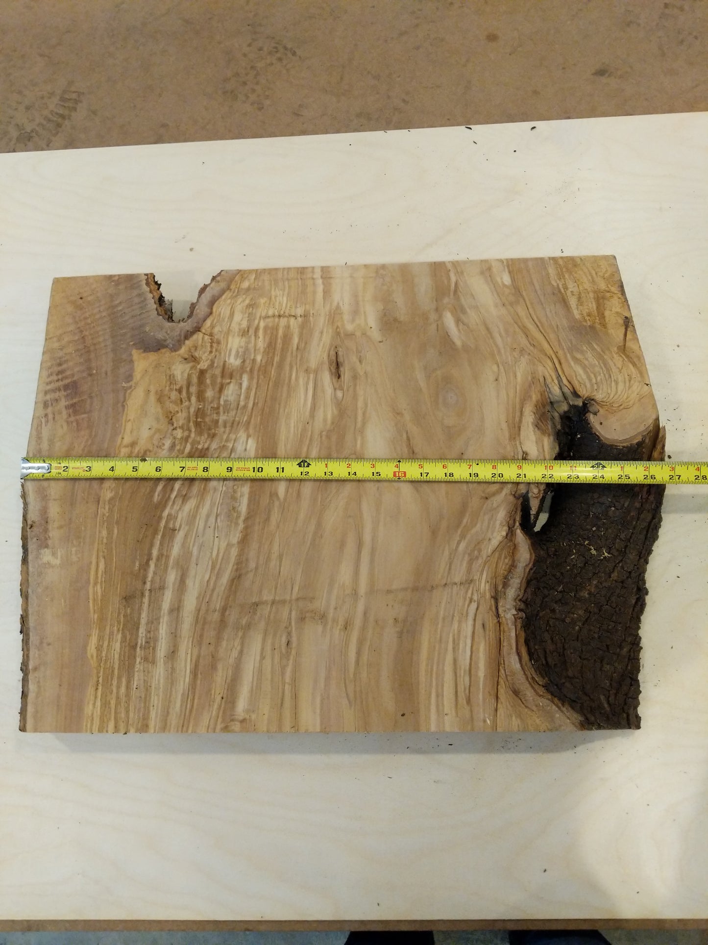 Italian Olive Wood Live Edge Mini Slab