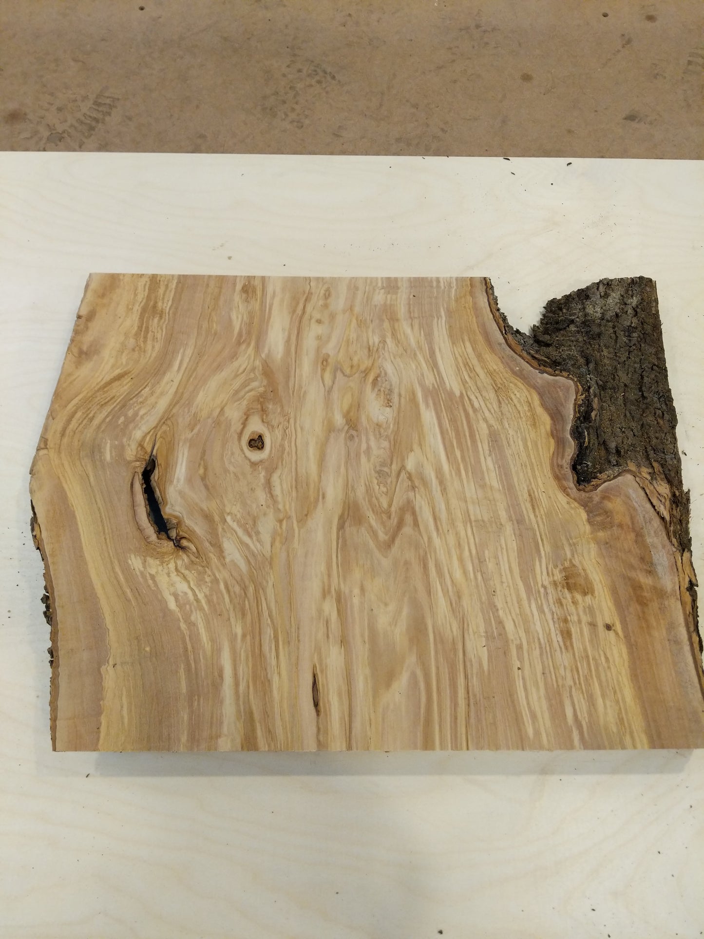 Italian Olive Wood Live Edge Mini Slab