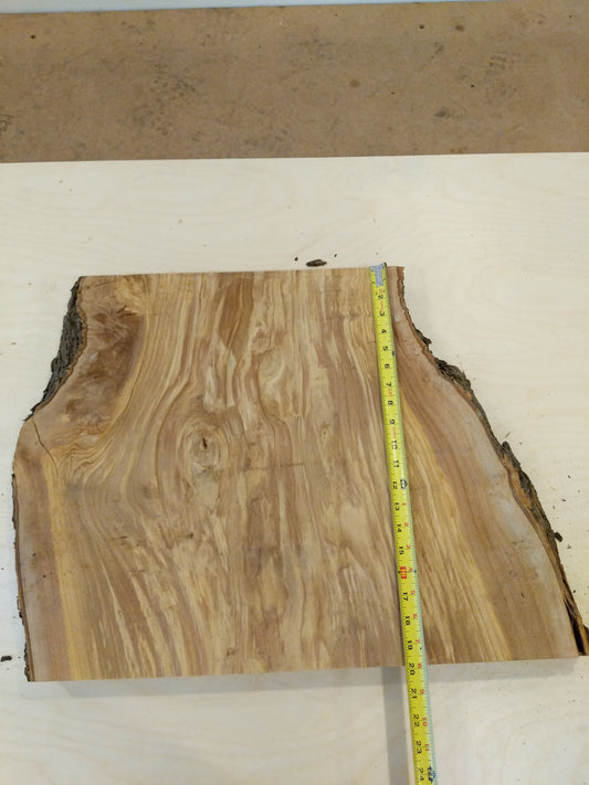 Italian Olive Wood Live Edge Mini Slab