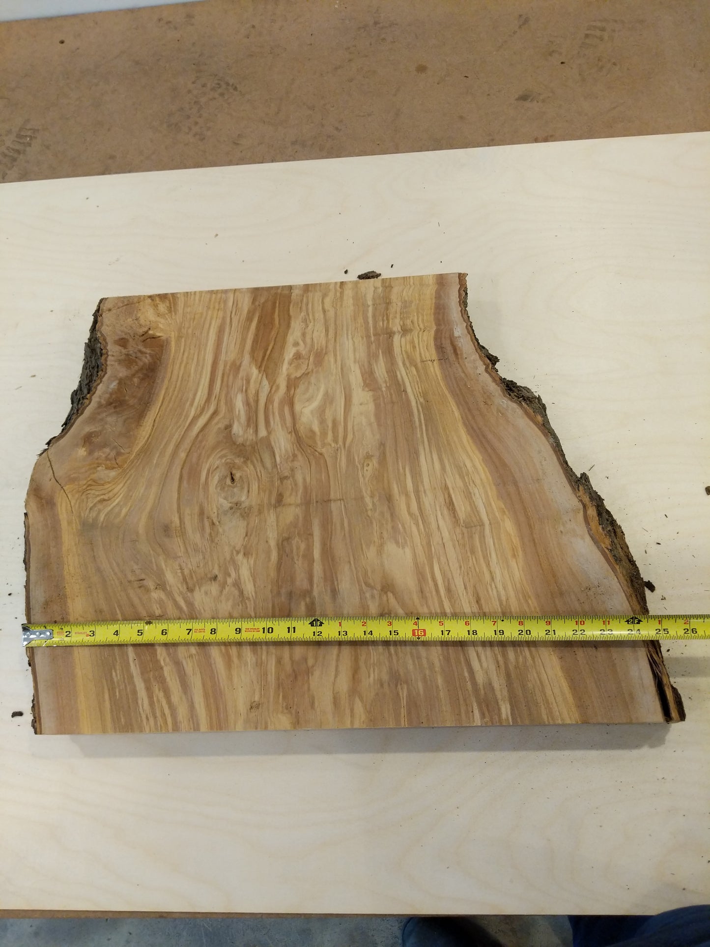 Italian Olive Wood Live Edge Mini Slab