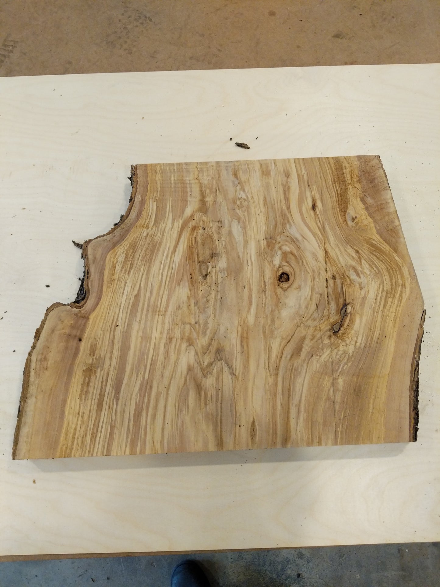 Italian Olive Wood Live Edge Mini Slab