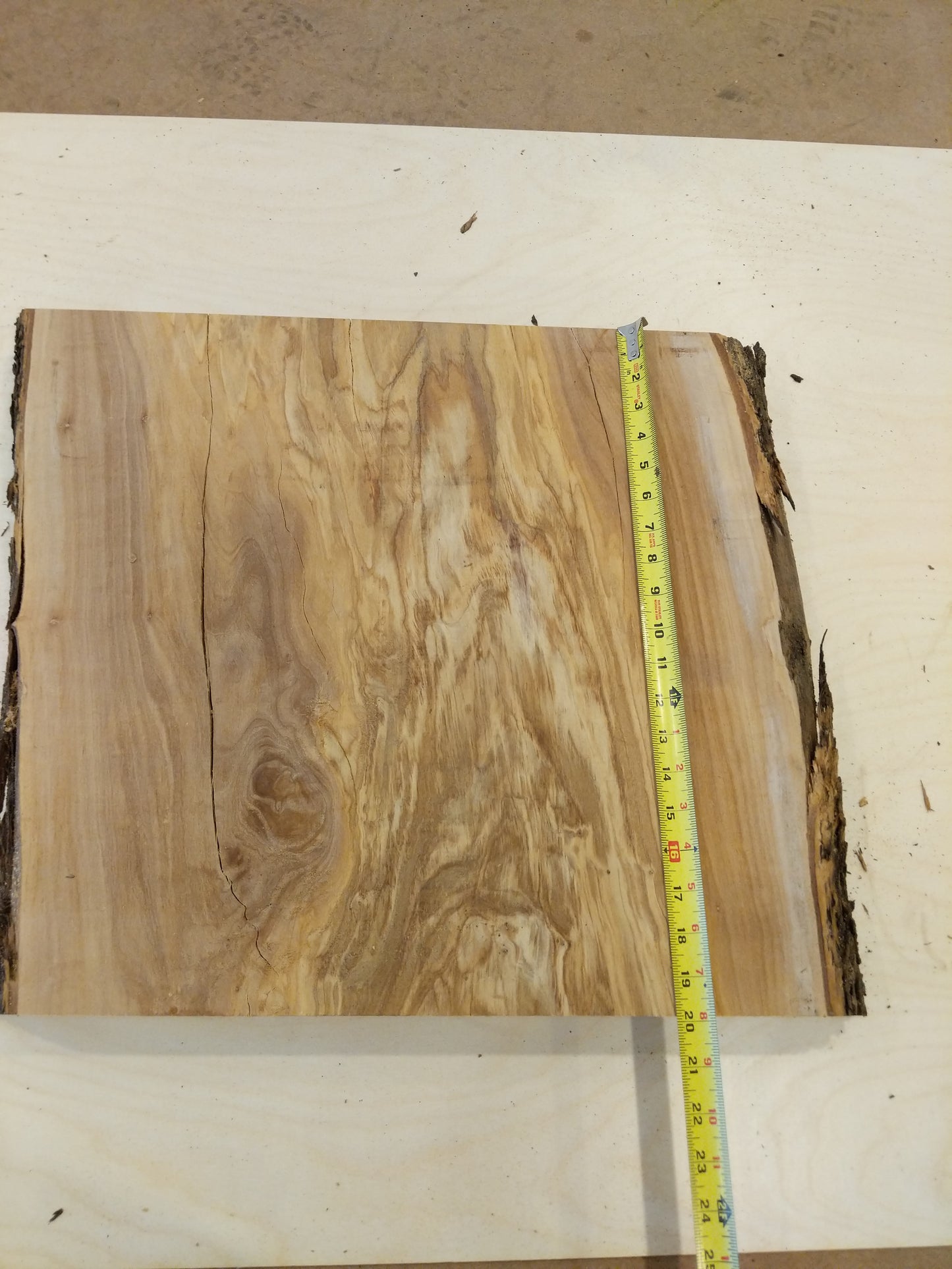 Italian Olive Wood Live Edge Mini Slab