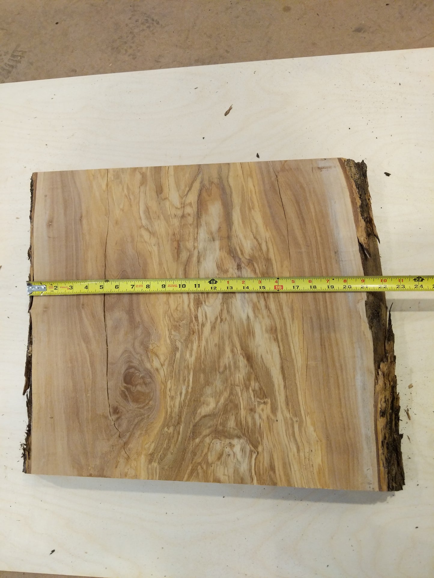 Italian Olive Wood Live Edge Mini Slab