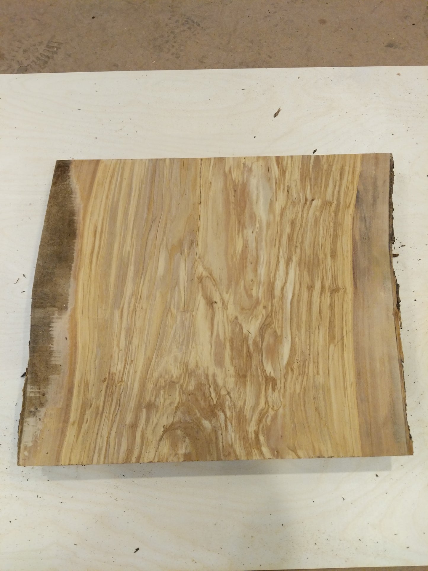 Italian Olive Wood Live Edge Mini Slab
