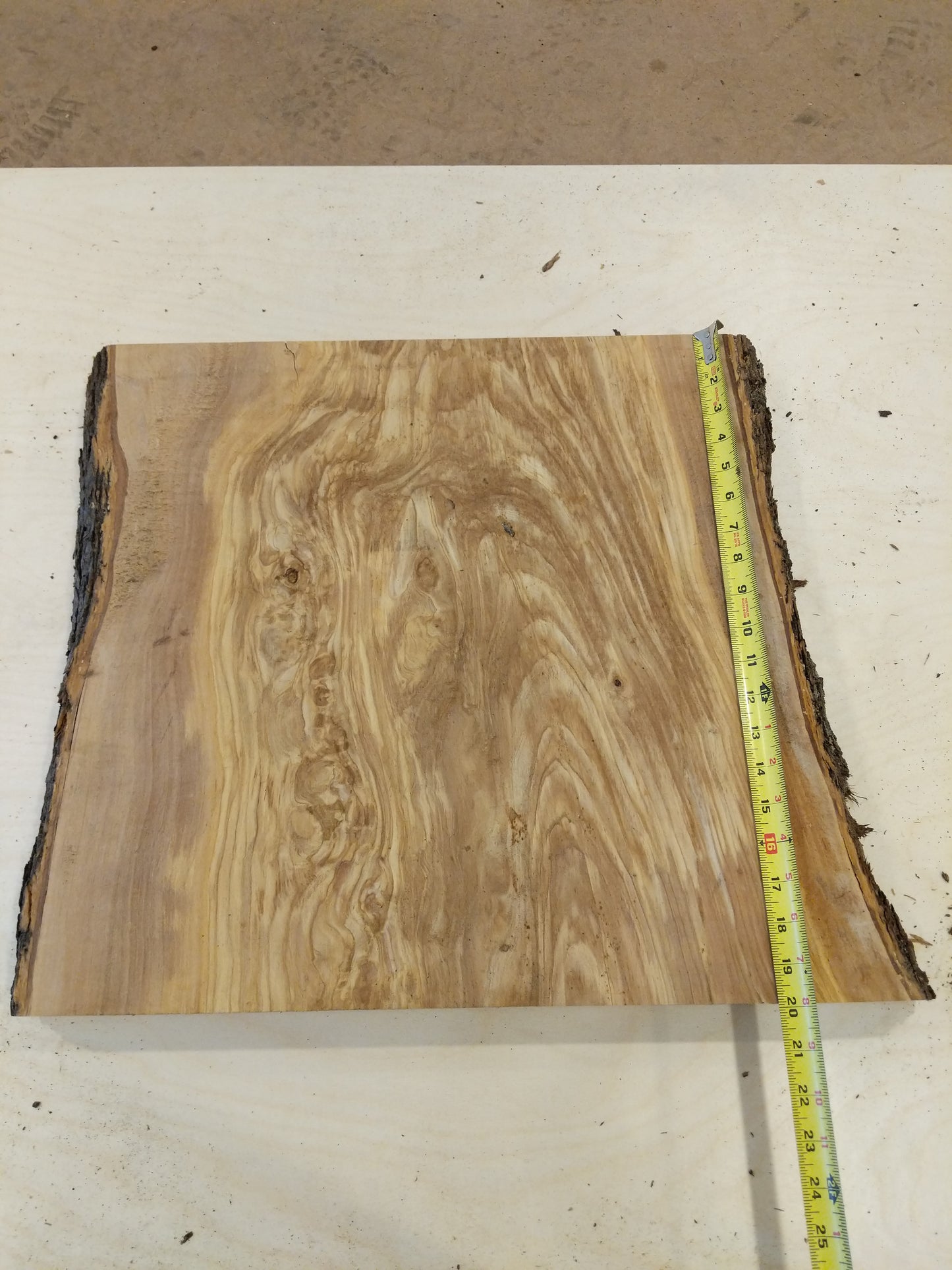 Italian Olive Wood Live Edge Mini Slab