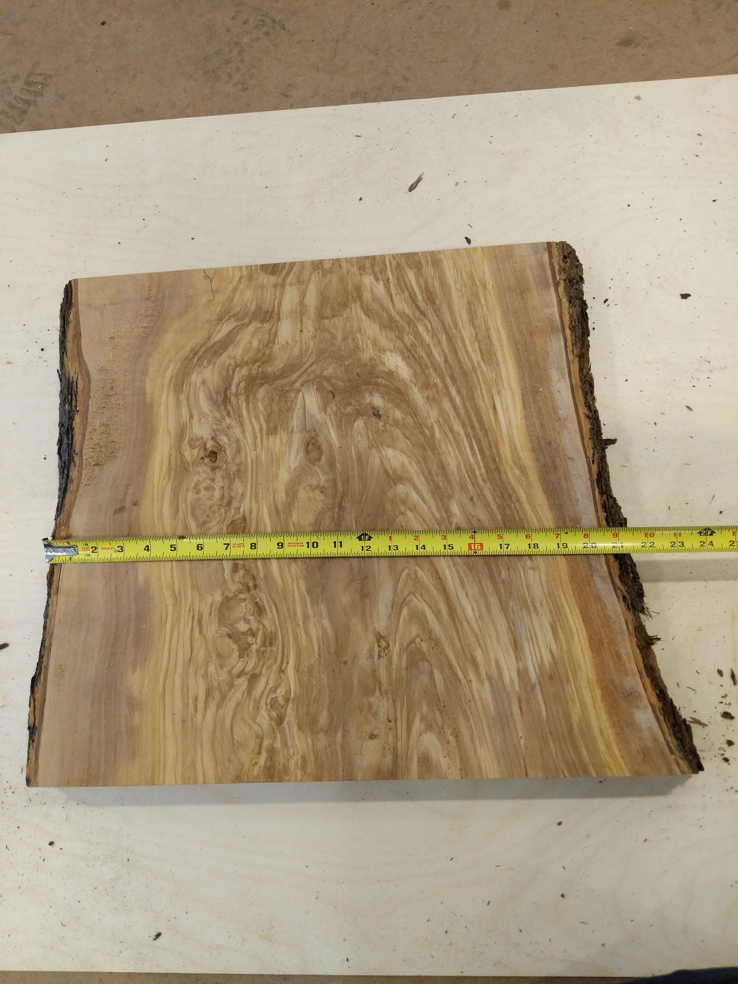 Italian Olive Wood Live Edge Mini Slab