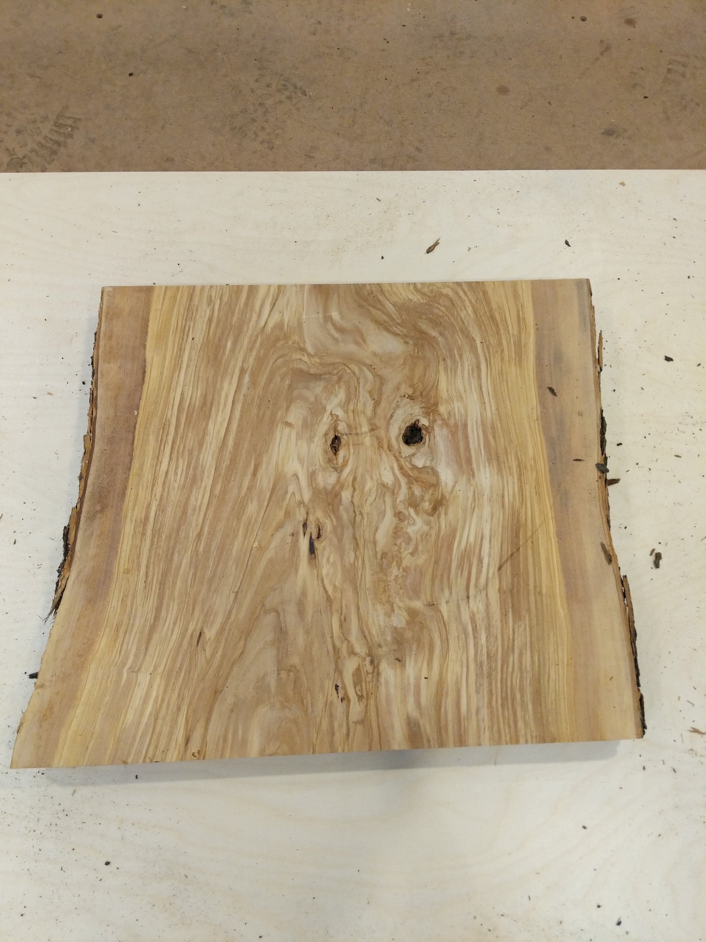 Italian Olive Wood Live Edge Mini Slab