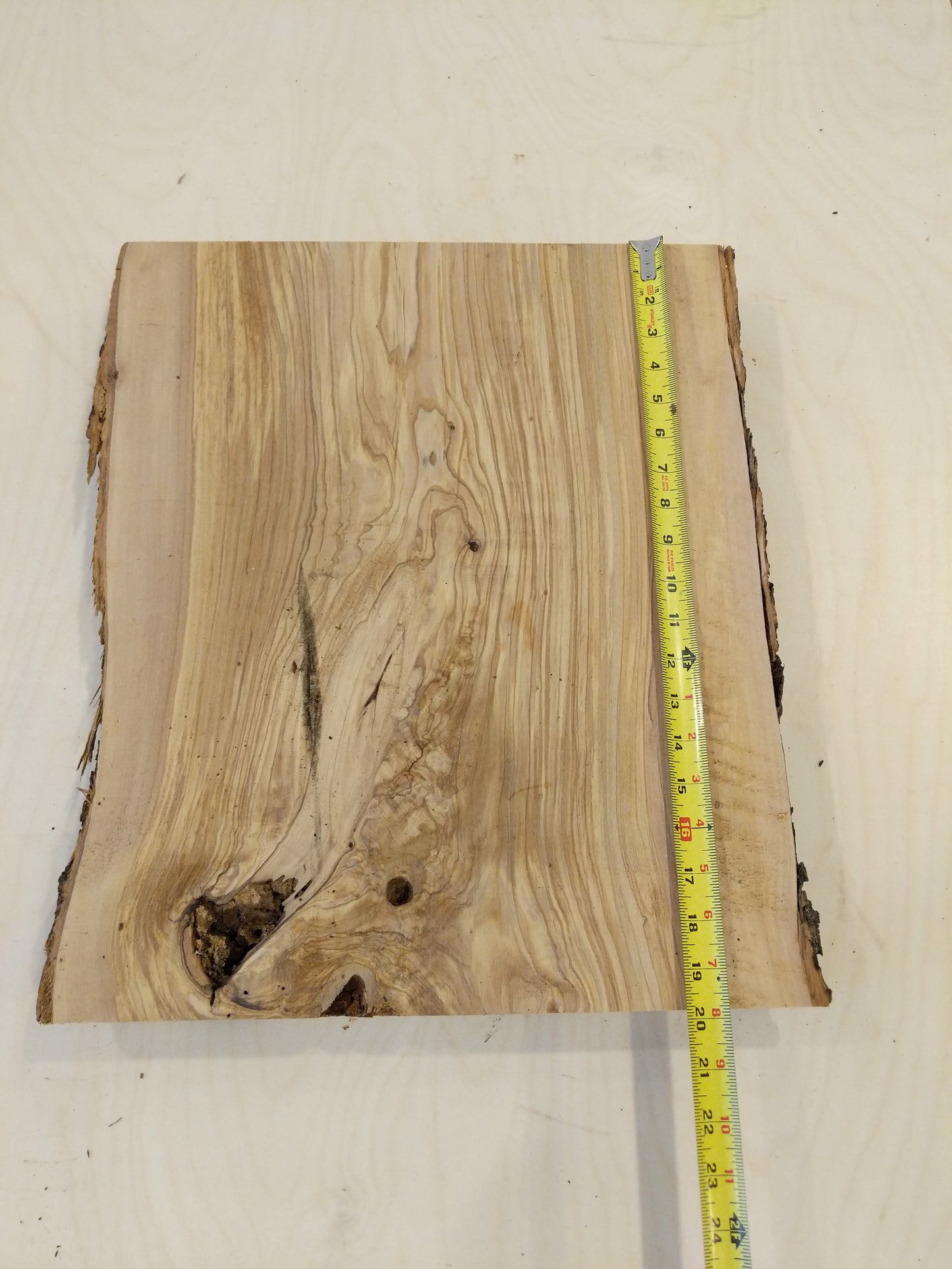 Italian Olive Wood Live Edge Mini Slab