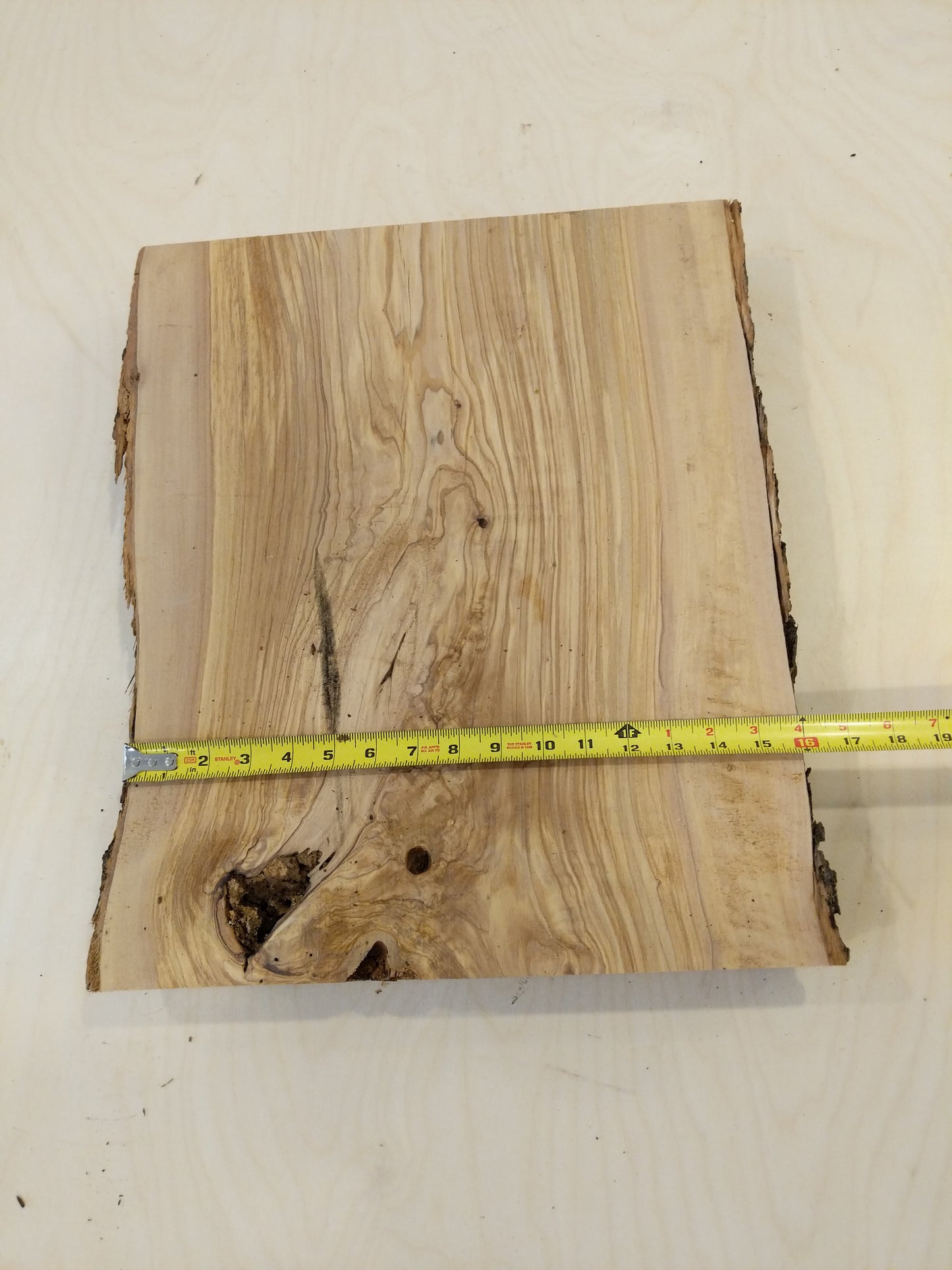 Italian Olive Wood Live Edge Mini Slab