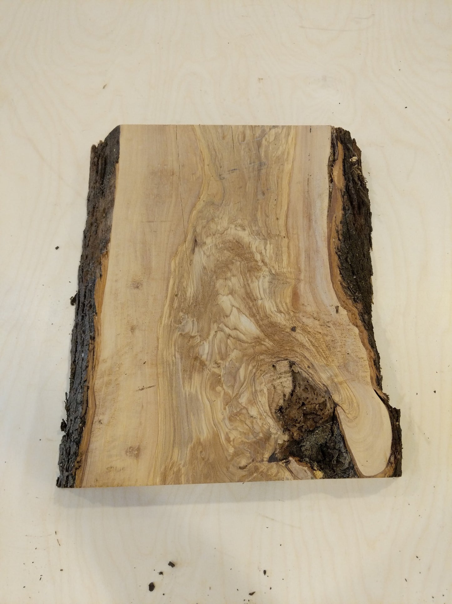 Italian Olive Wood Live Edge Mini Slab