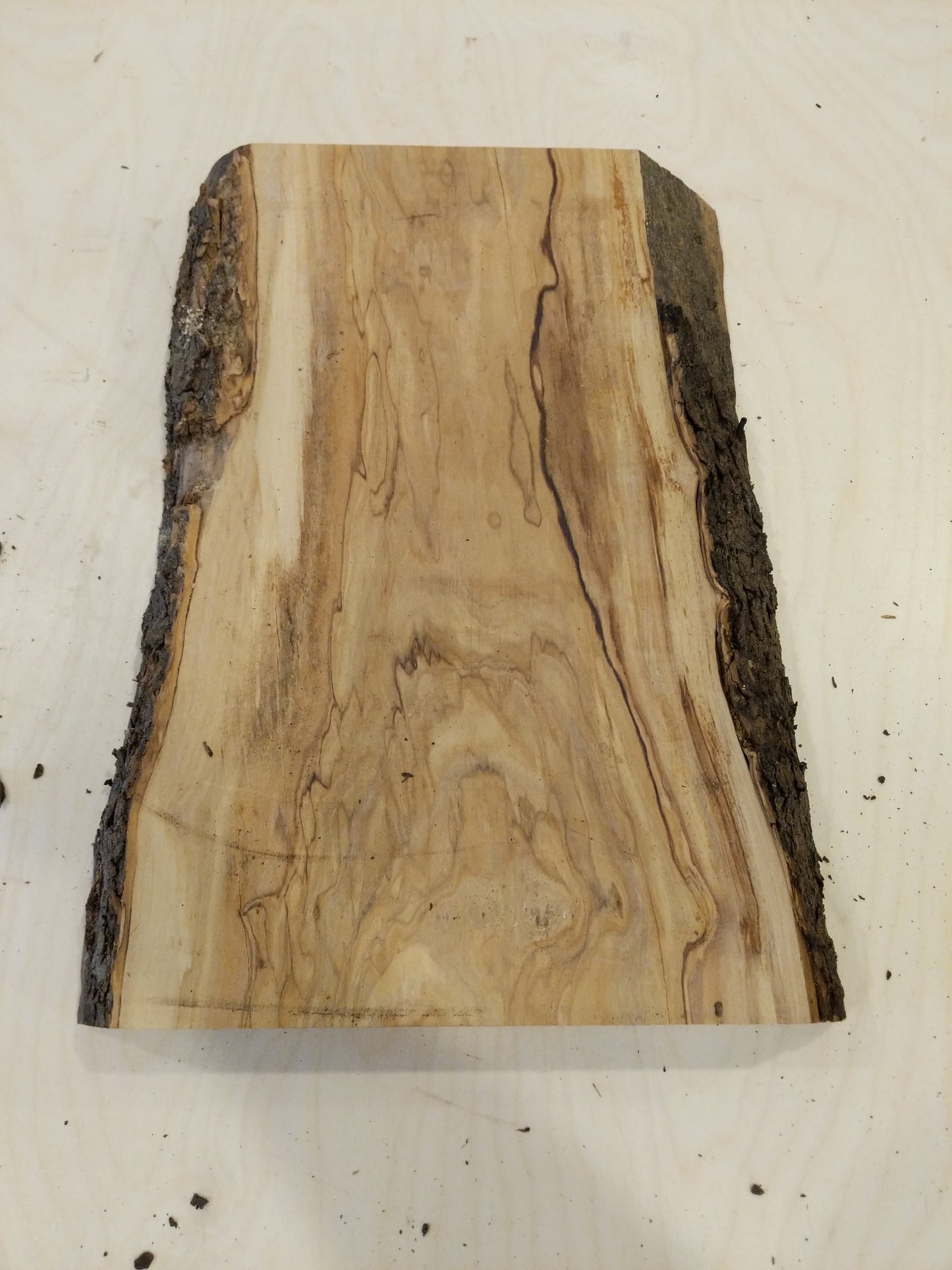 Italian Olive Wood Live Edge Mini Slab
