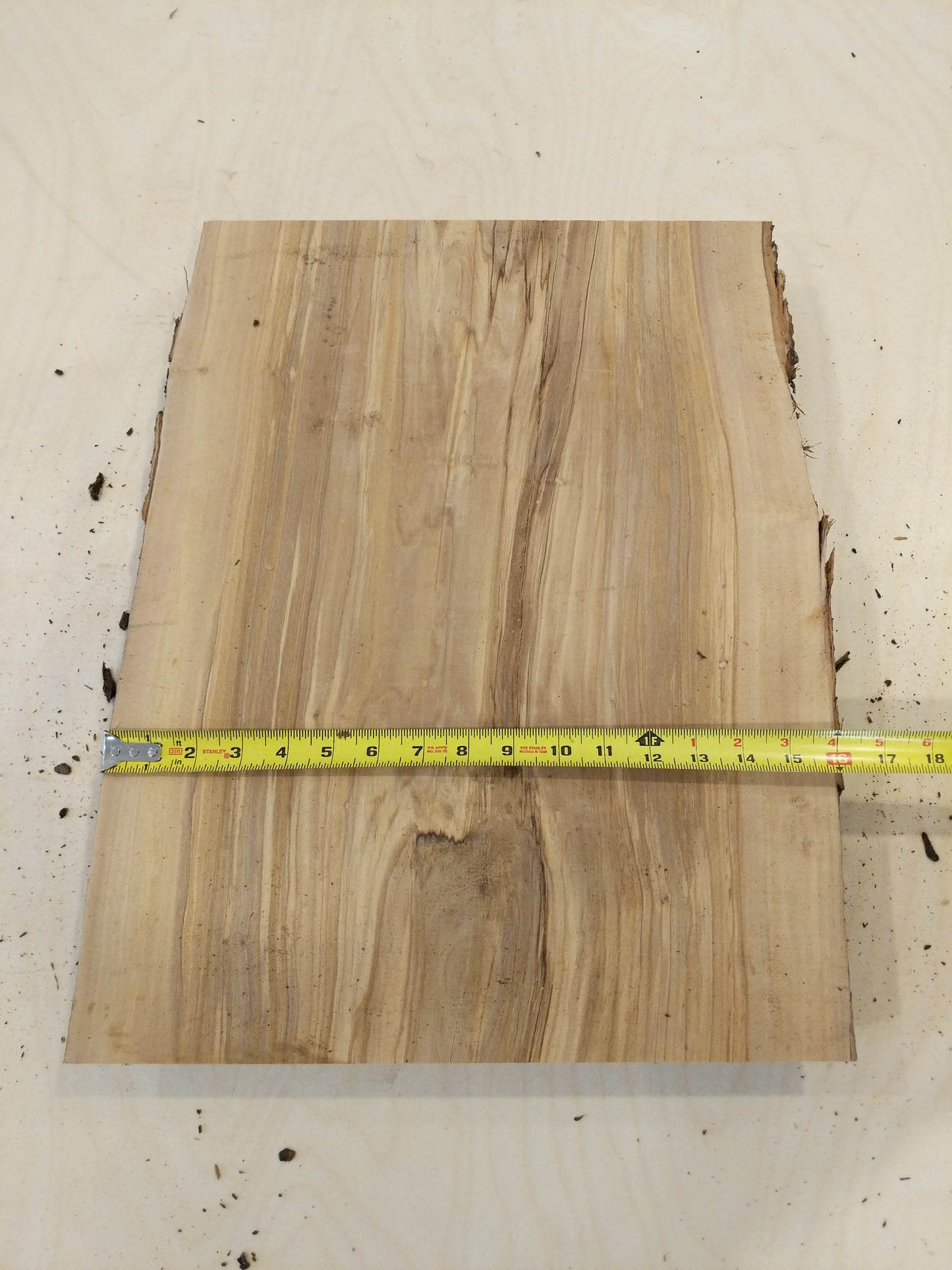 Italian Olive Wood Live Edge Mini Slab