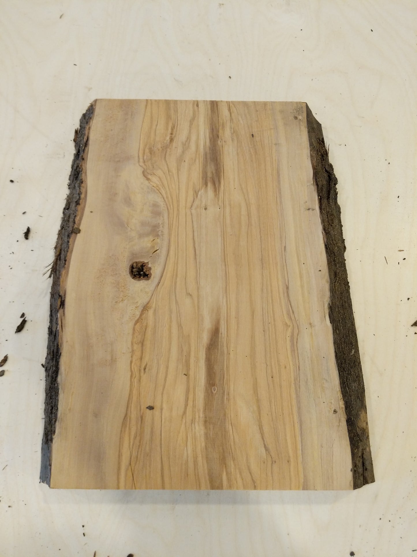 Italian Olive Wood Live Edge Mini Slab
