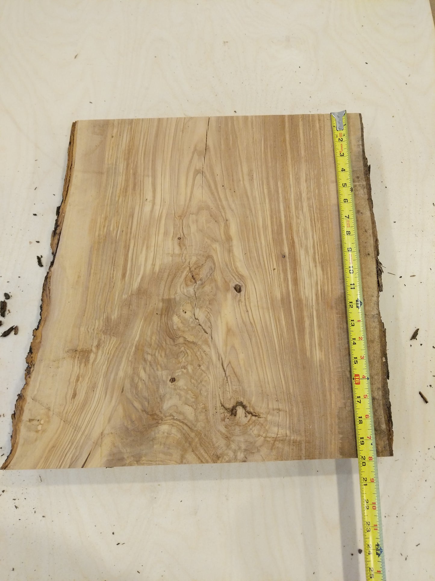 Italian Olive Wood Live Edge Mini Slab