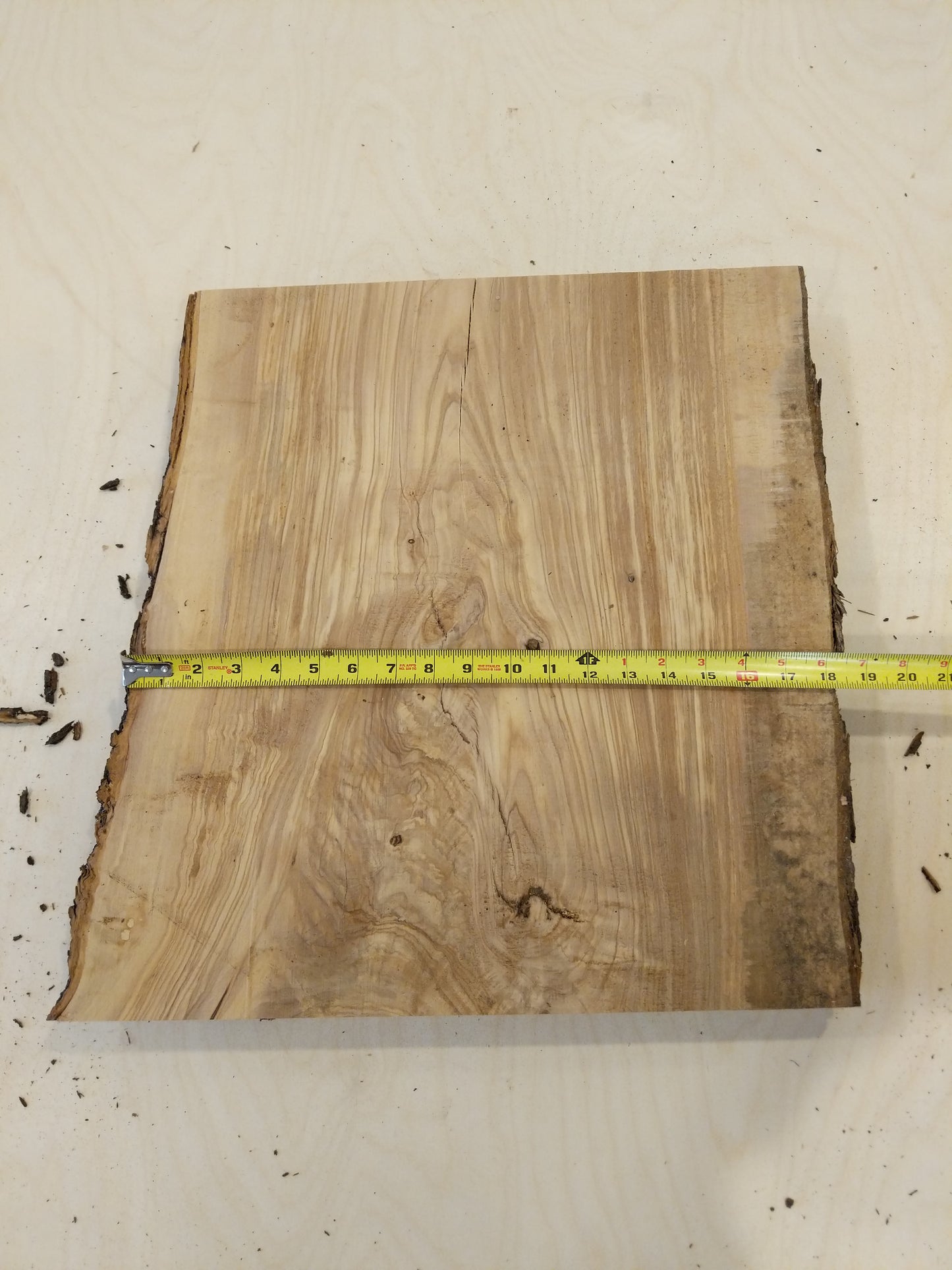 Italian Olive Wood Live Edge Mini Slab