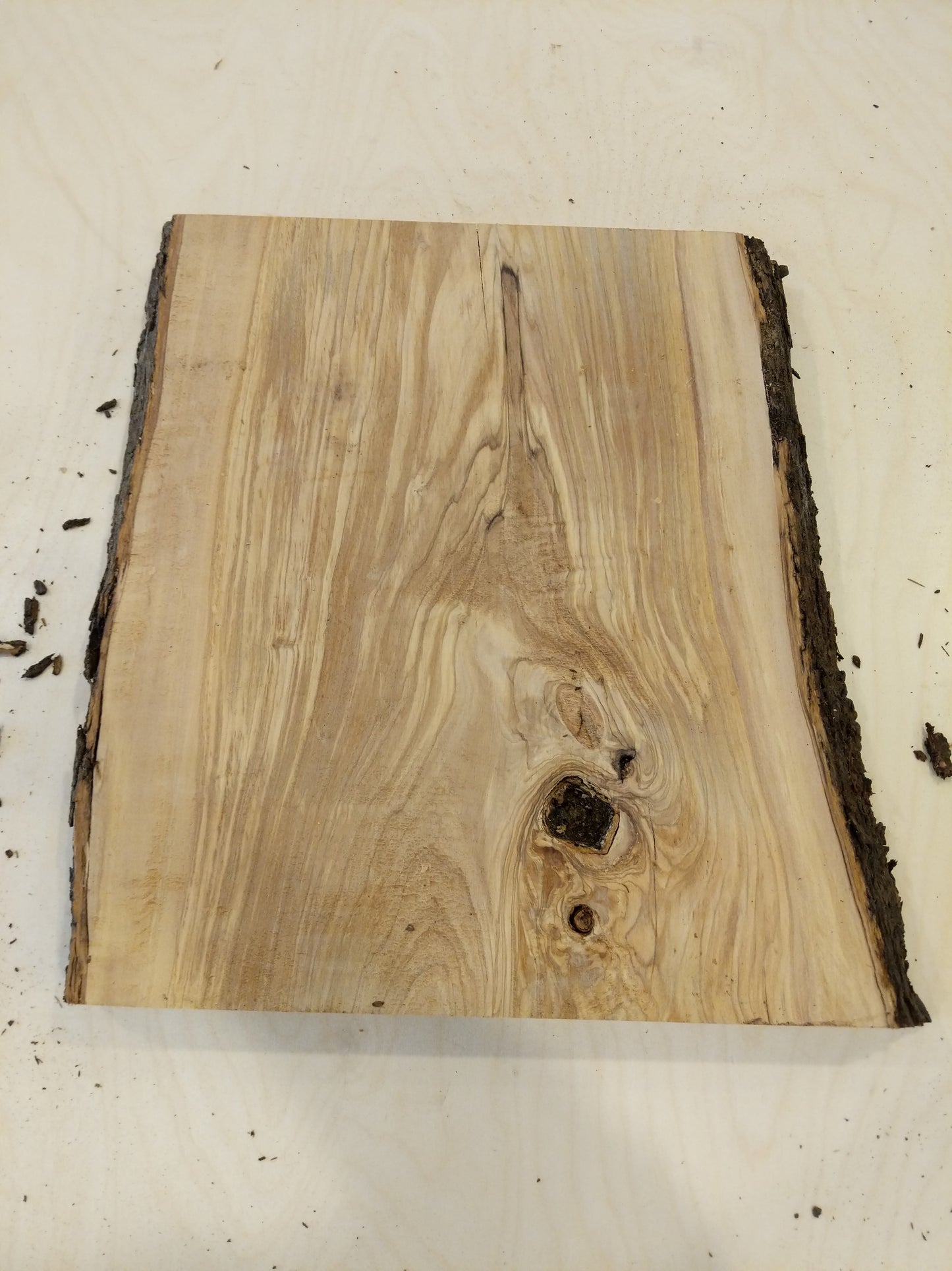 Italian Olive Wood Live Edge Mini Slab