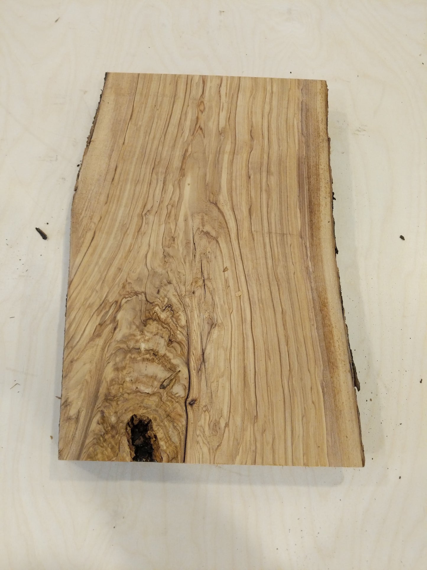Italian Olive Wood Live Edge Mini Slab