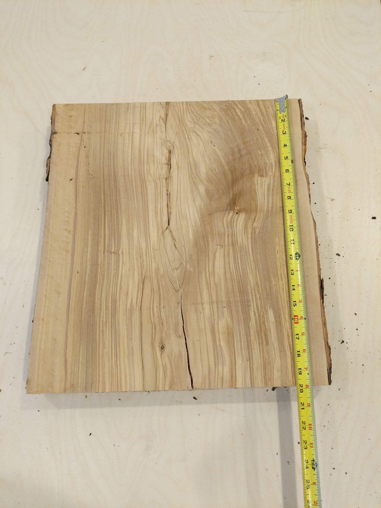 Italian Olive Wood Live Edge Mini Slab