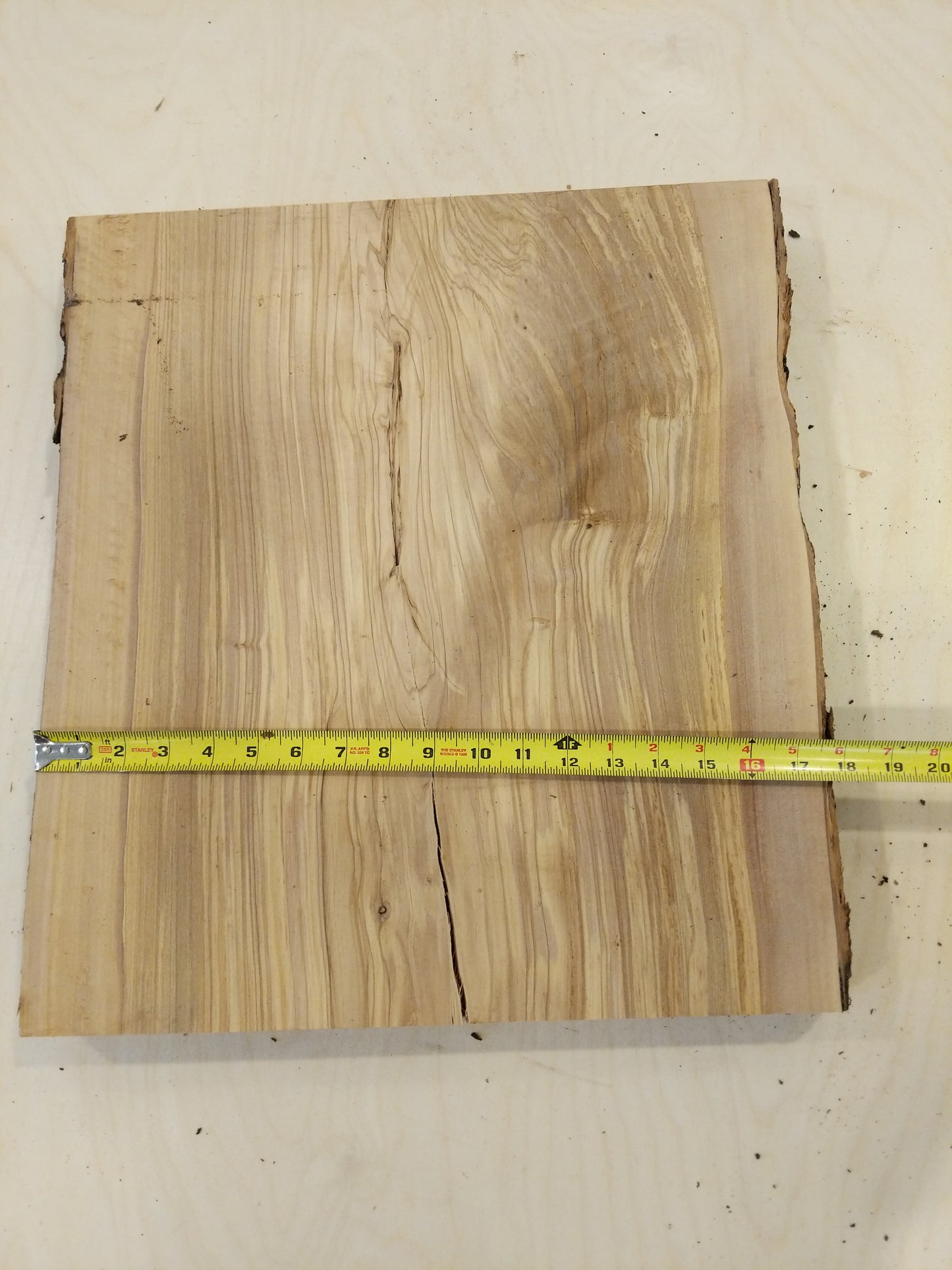 Italian Olive Wood Live Edge Mini Slab