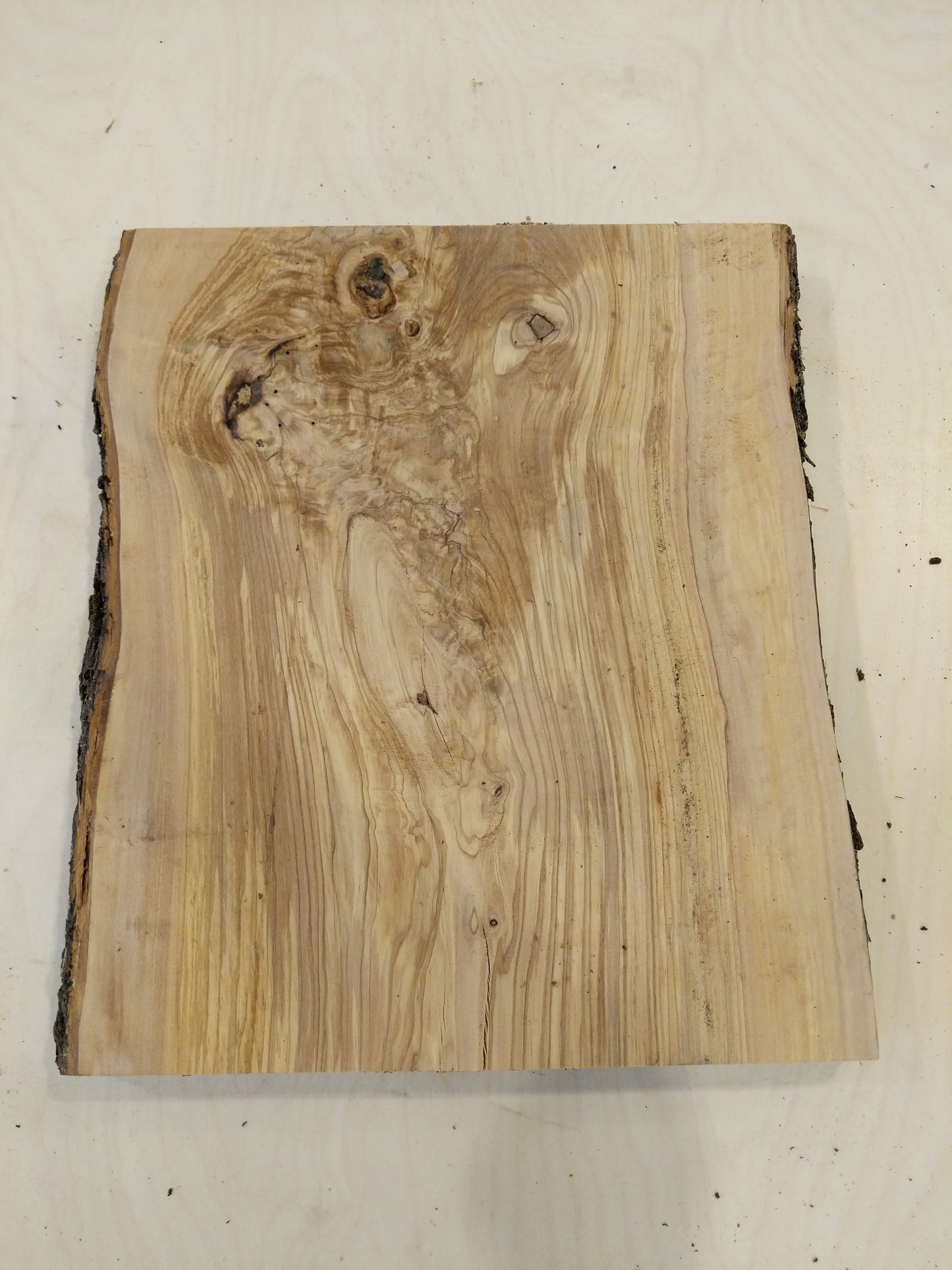 Italian Olive Wood Live Edge Mini Slab