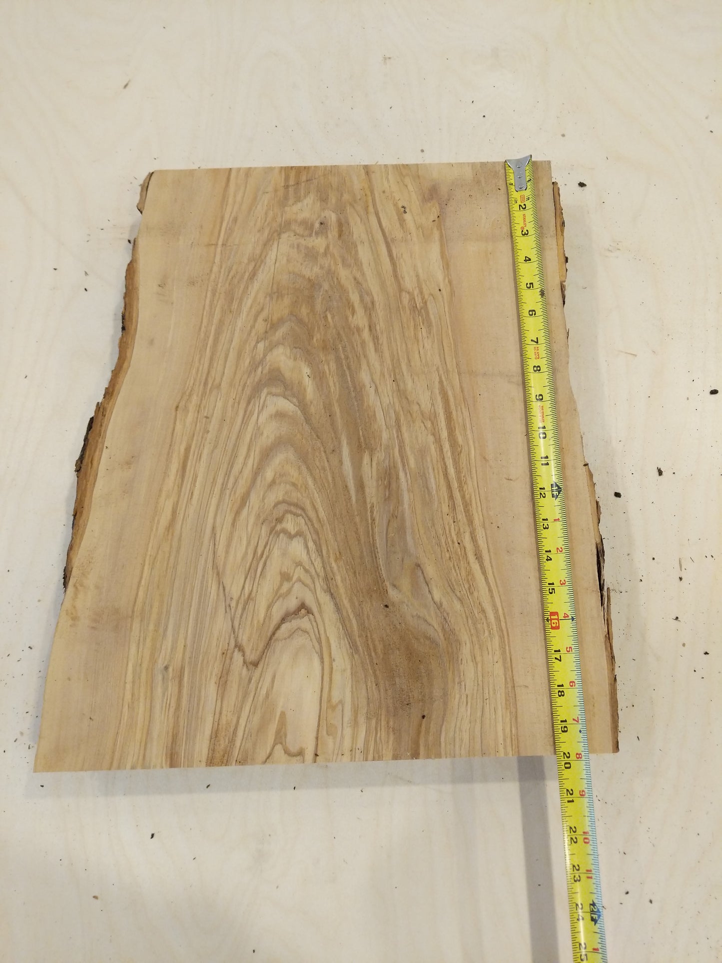 Italian Olive Wood Live Edge Mini Slab
