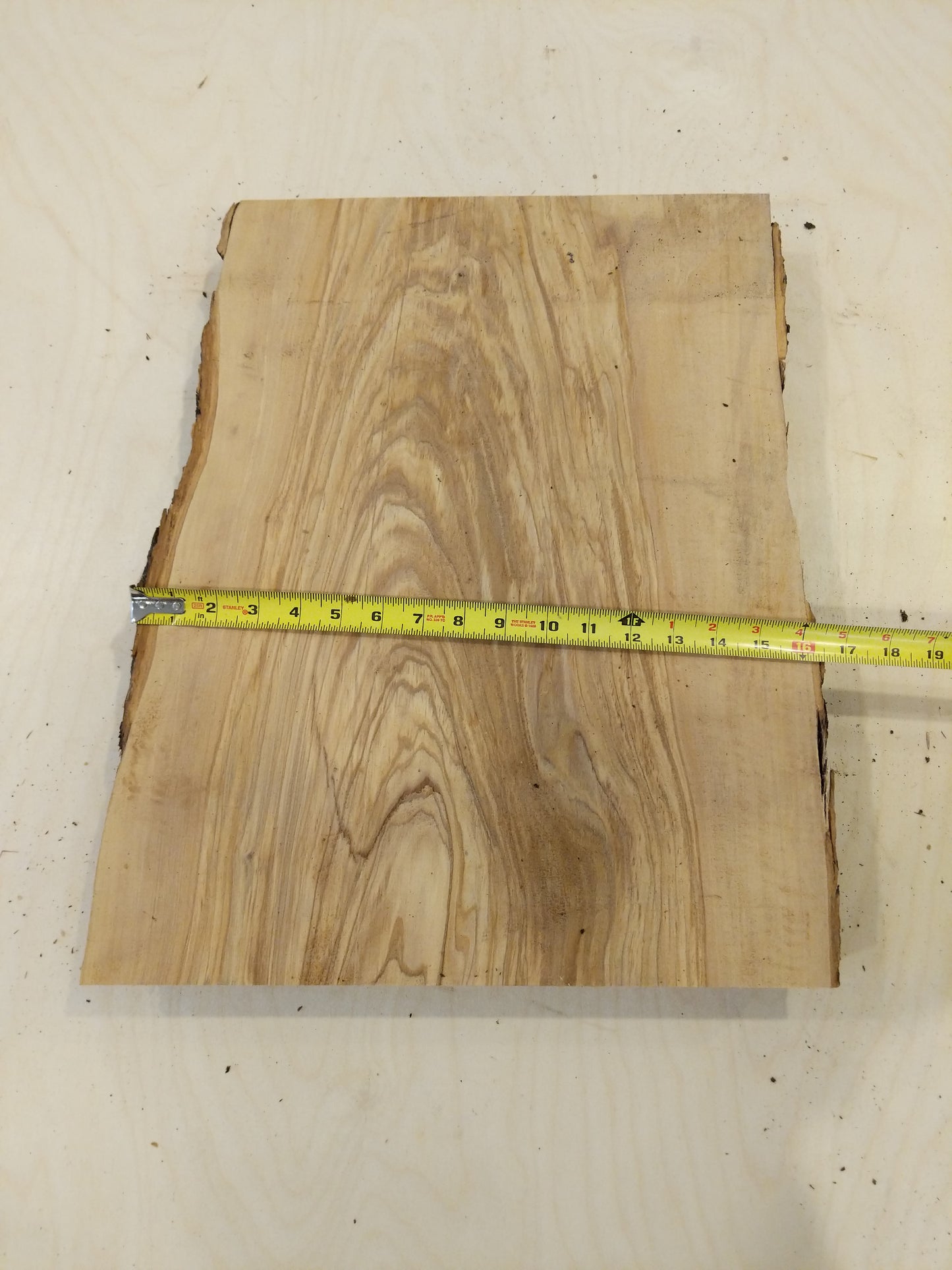 Italian Olive Wood Live Edge Mini Slab