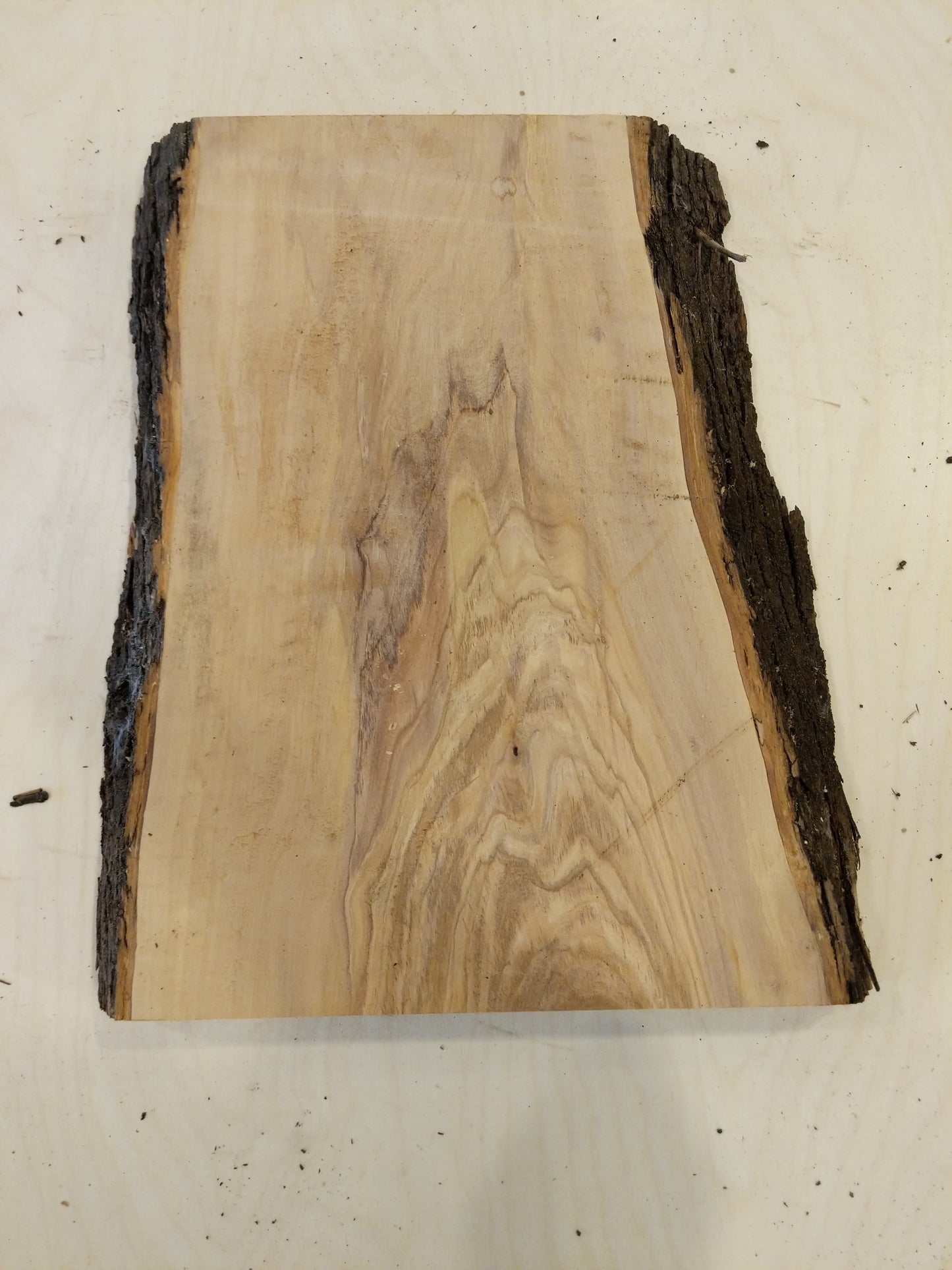 Italian Olive Wood Live Edge Mini Slab
