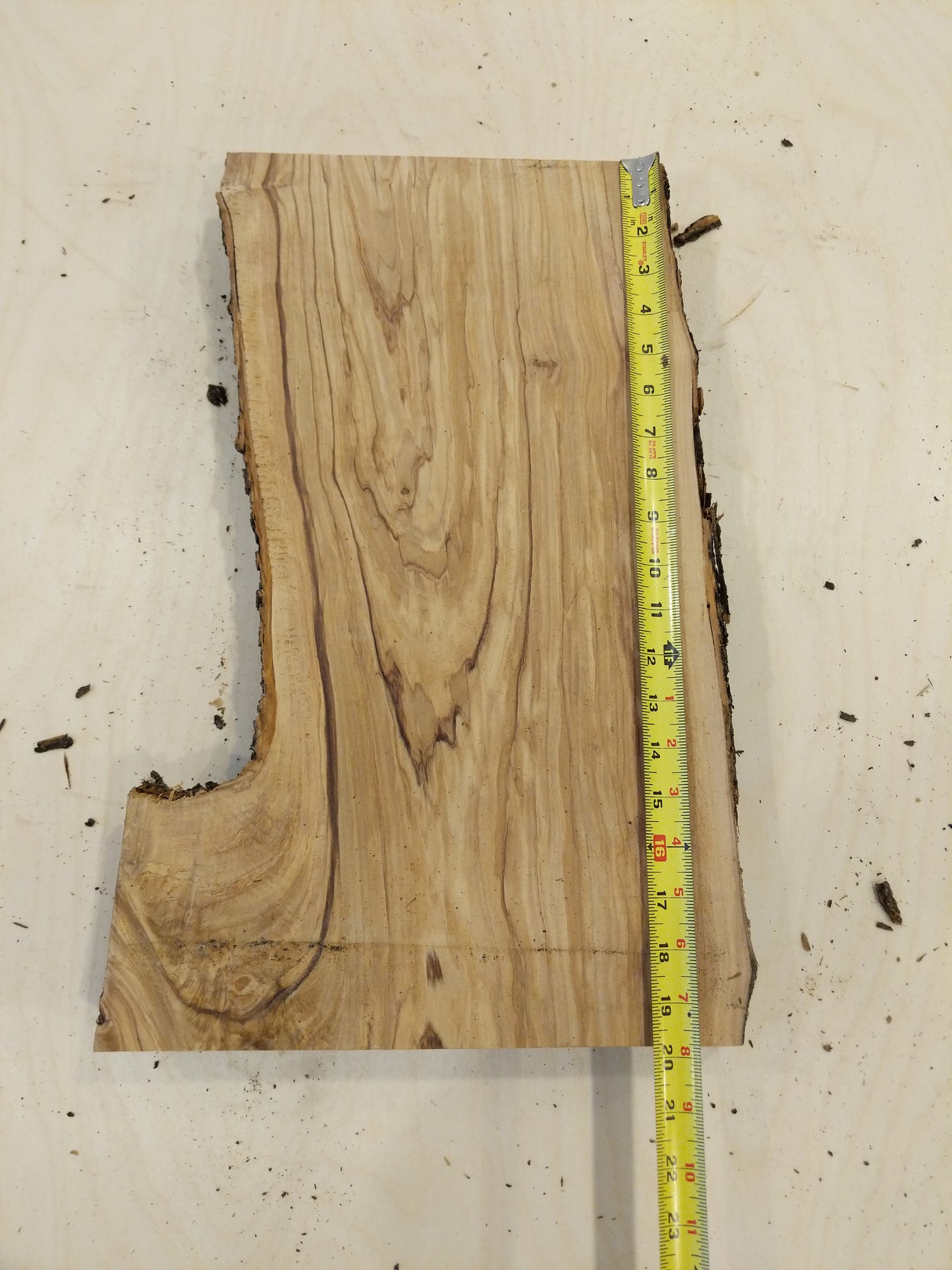 Italian Olive Wood Live Edge Mini Slab