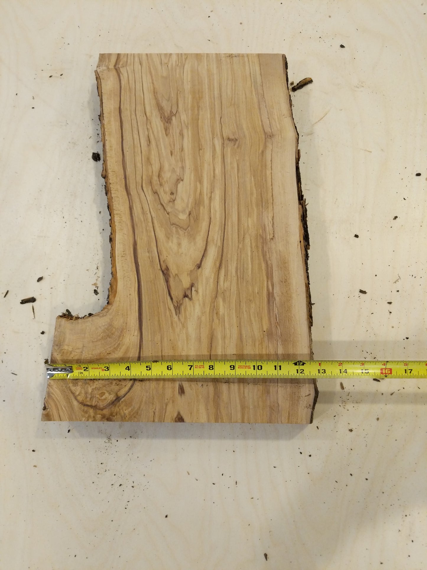 Italian Olive Wood Live Edge Mini Slab