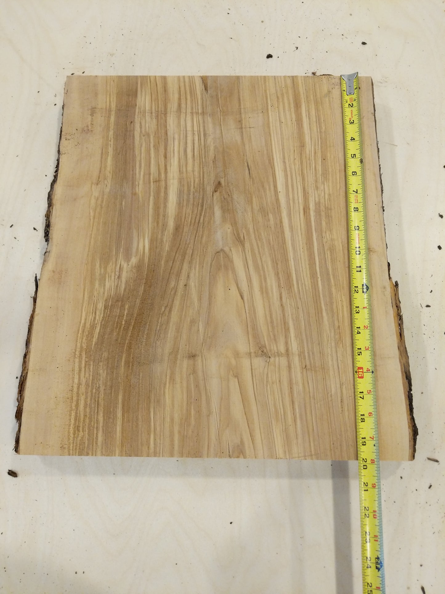 Italian Olive Wood Live Edge Mini Slab
