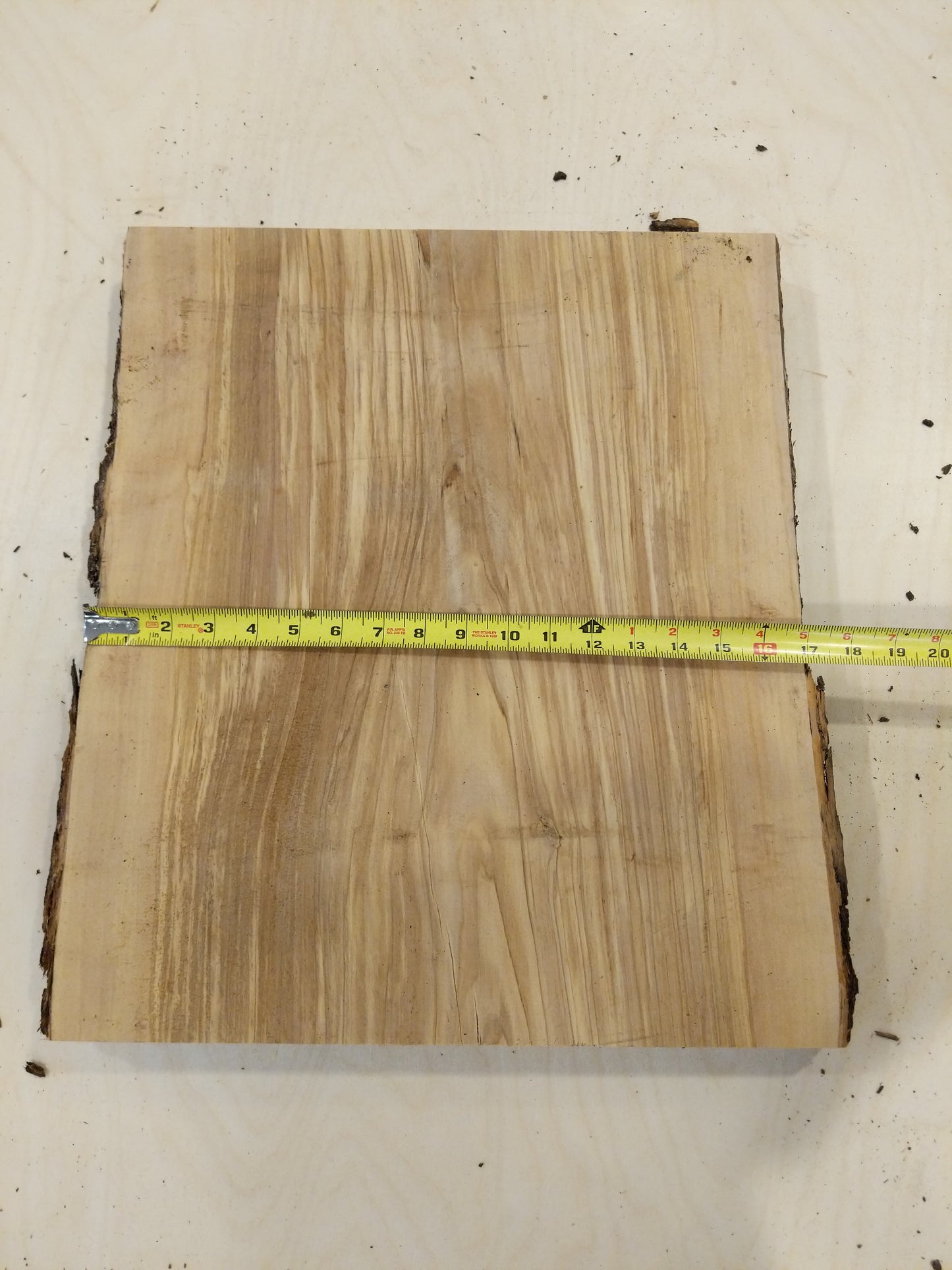 Italian Olive Wood Live Edge Mini Slab