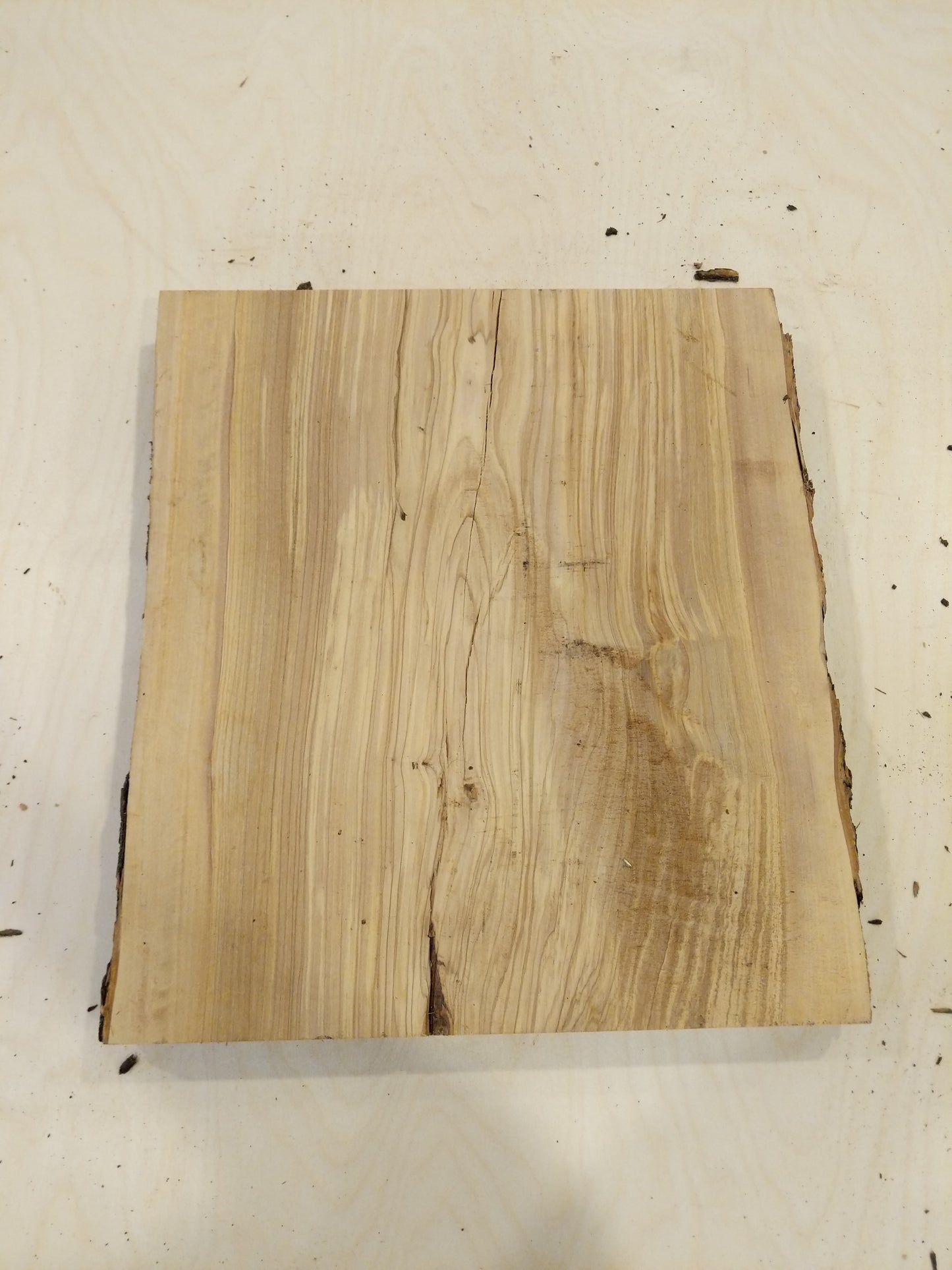 Italian Olive Wood Live Edge Mini Slab
