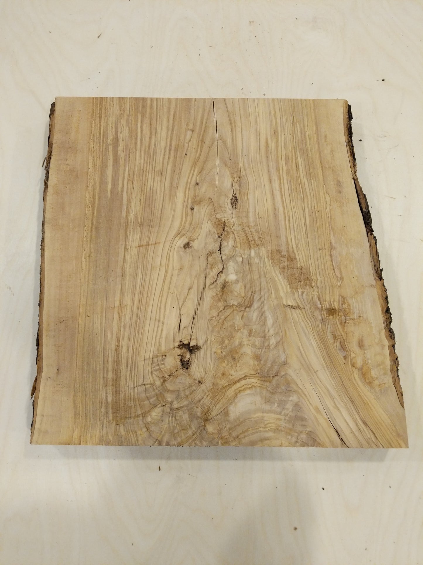 Italian Olive Wood Live Edge Mini Slab