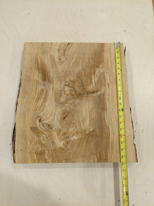 Italian Olive Wood Live Edge Mini Slab