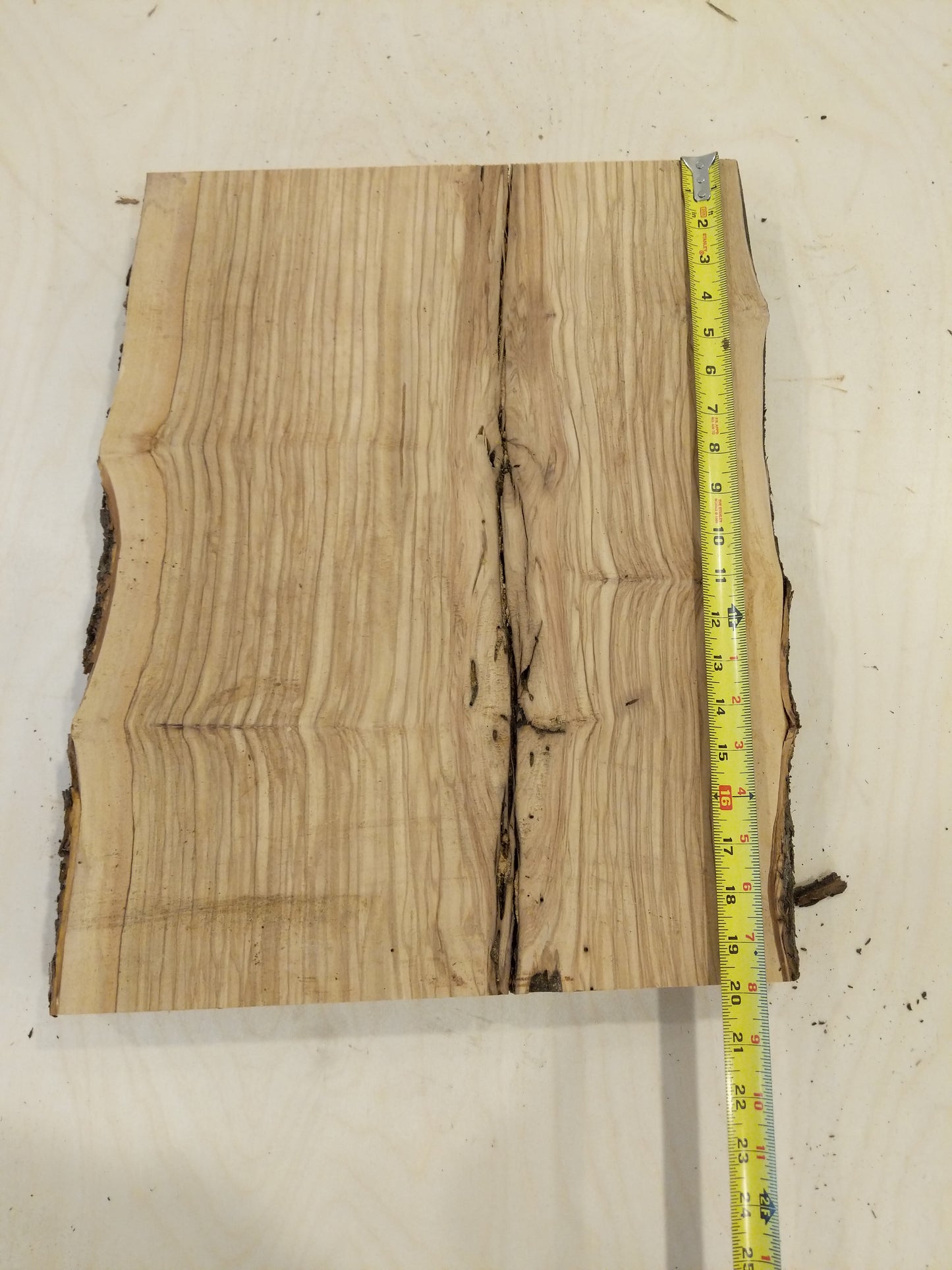 Italian Olive Wood Live Edge Mini Slab