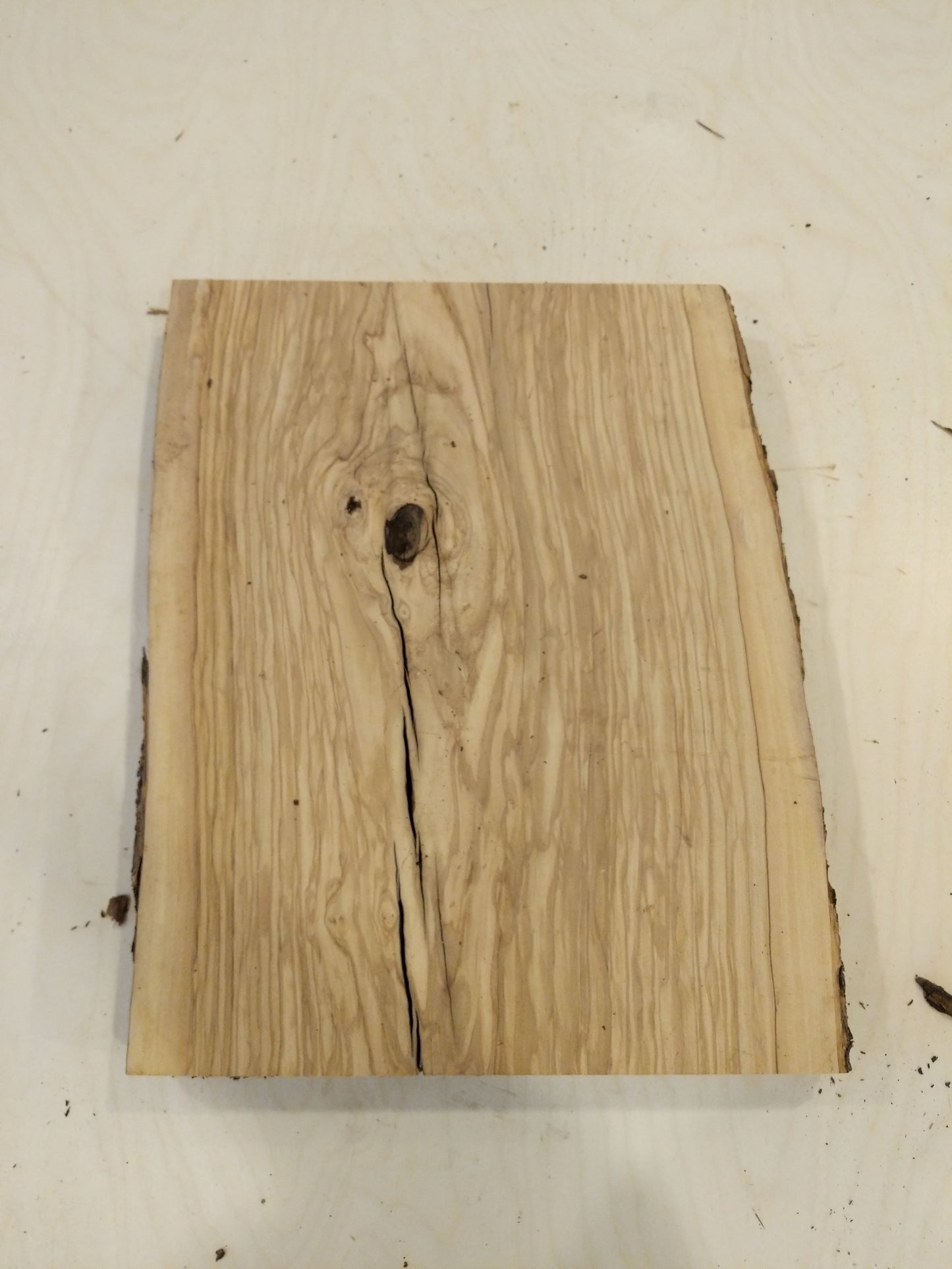 Italian Olive Wood Live Edge Mini Slab