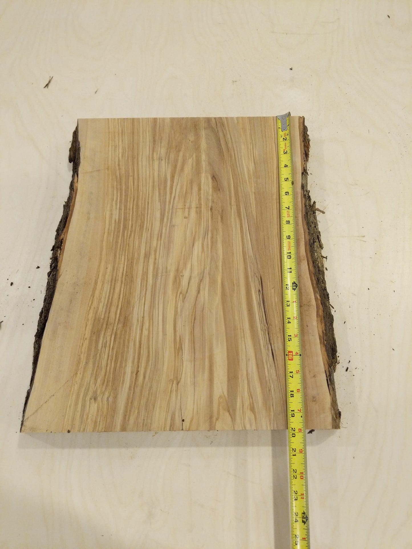 Italian Olive Wood Live Edge Mini Slab