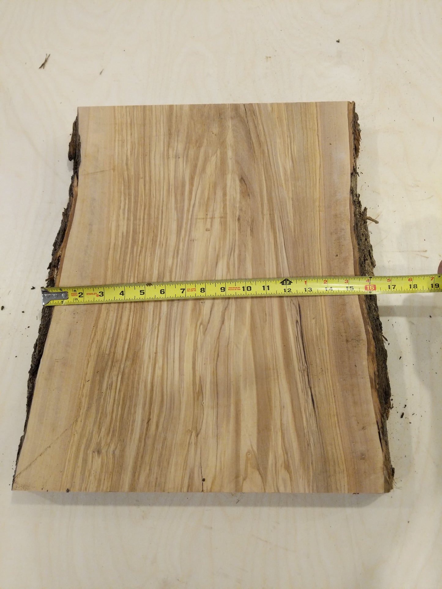 Italian Olive Wood Live Edge Mini Slab