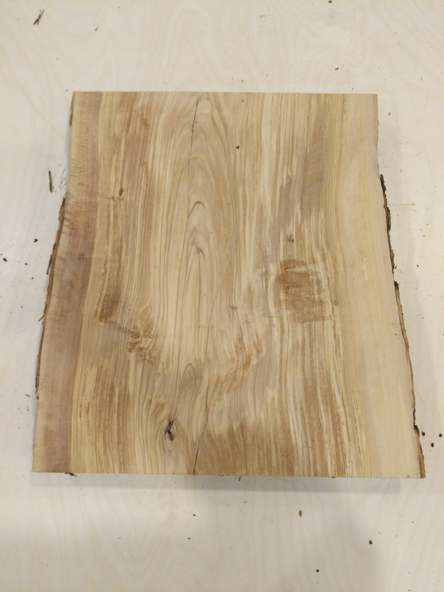 Italian Olive Wood Live Edge Mini Slab